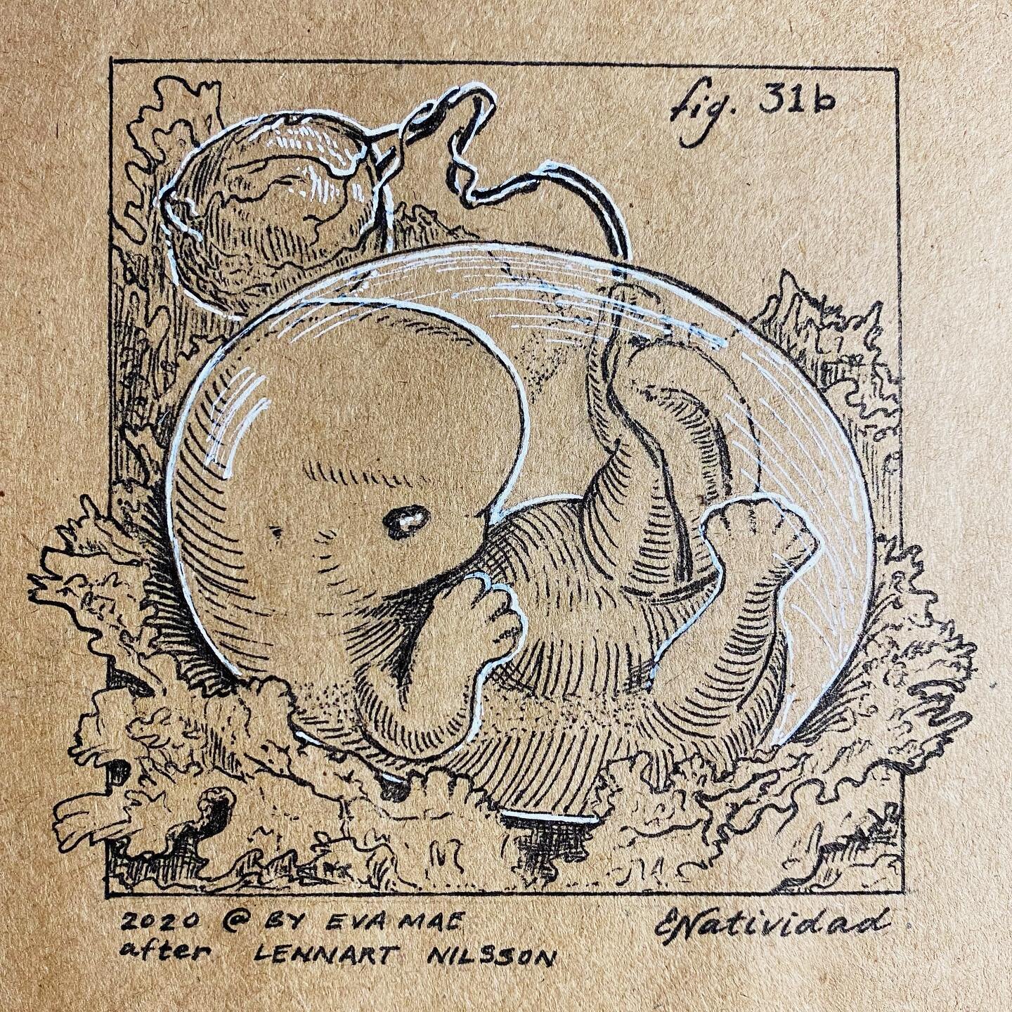 Fig. 31b Full Figure / Vote for a better world for future generations.
.
Medical illustration is about making the invisible visible. This drawing is based on a photograph by Lennart Nilsson of an embryo at 6.5 weeks in 1965.
.
Bonus post for the last