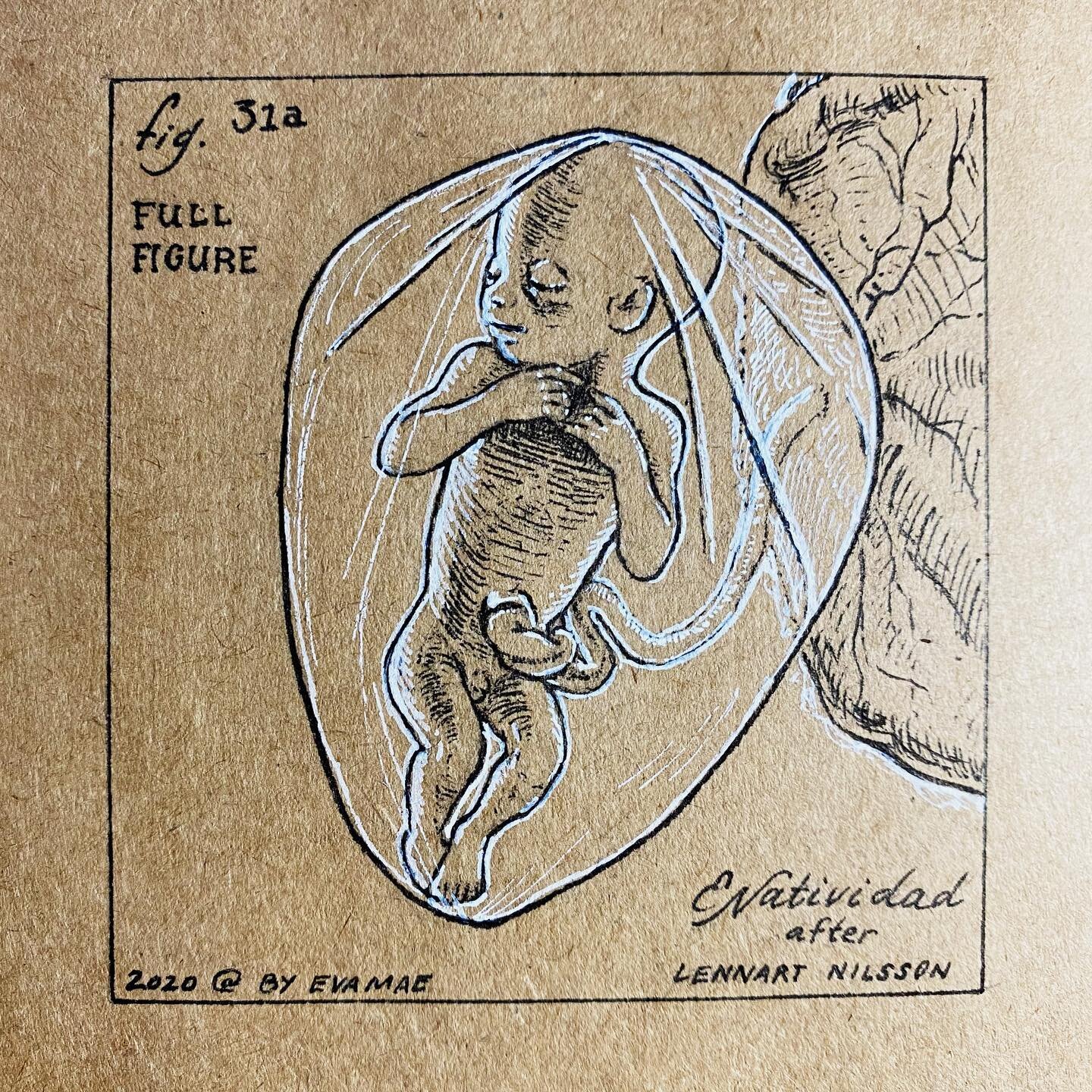 Fig. 31a Full Figure / Vote for a better world for future generations.
.
Medical illustration is about making the invisible visible. This drawing is based on a famous LIFE magazine cover by Lennart Nilsson who captured the first ever photograph of a 