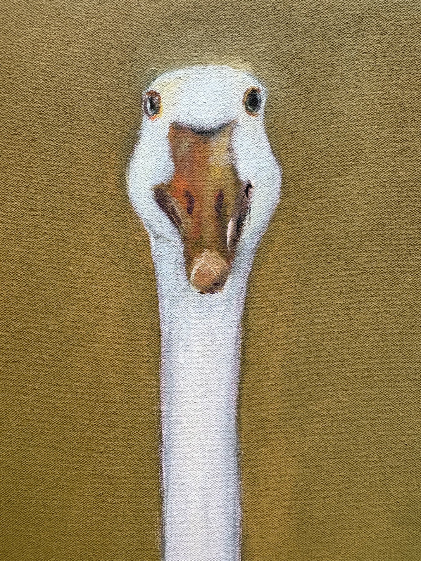 close up goose.jpg