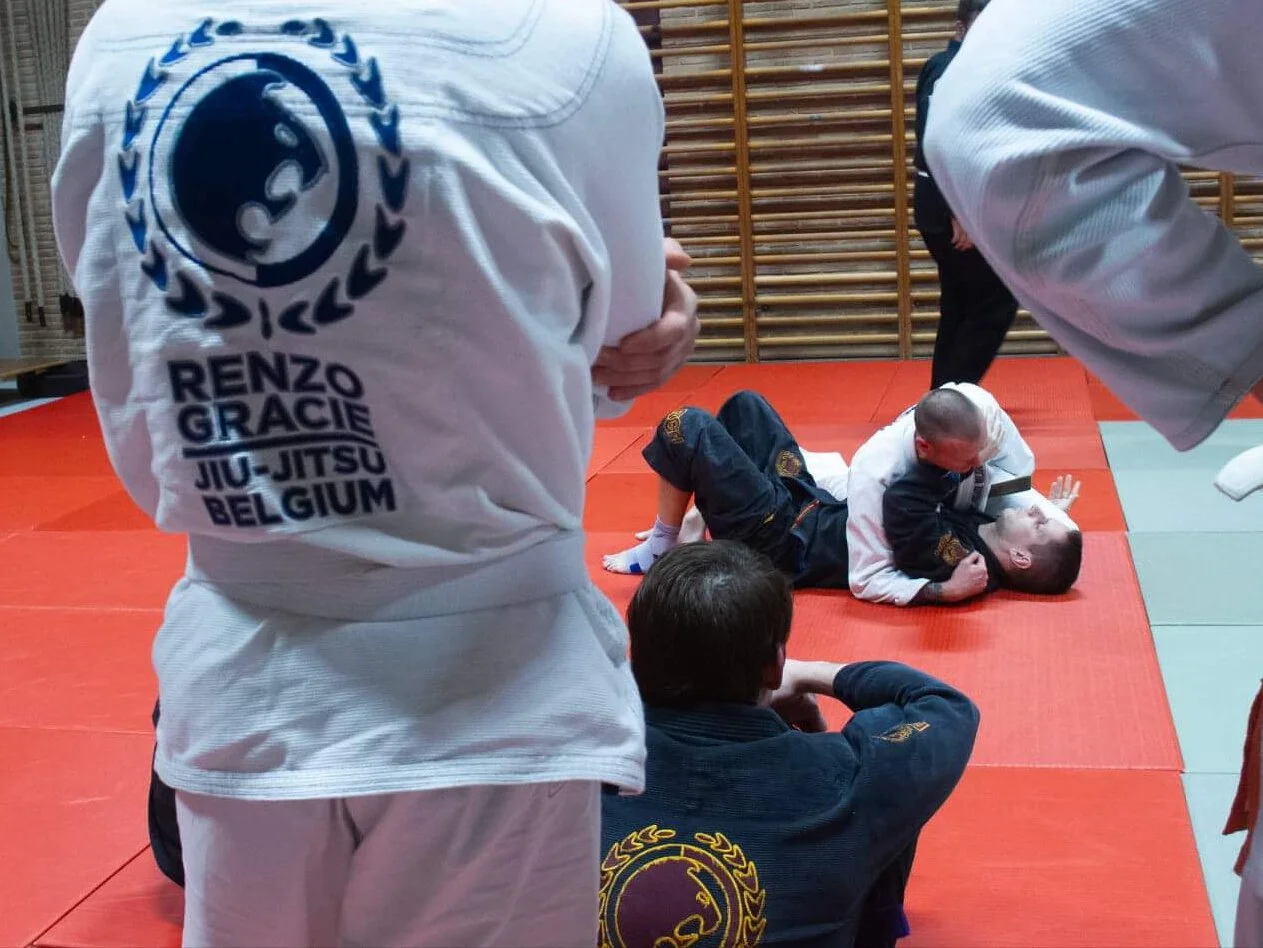 Training BJJ 2020