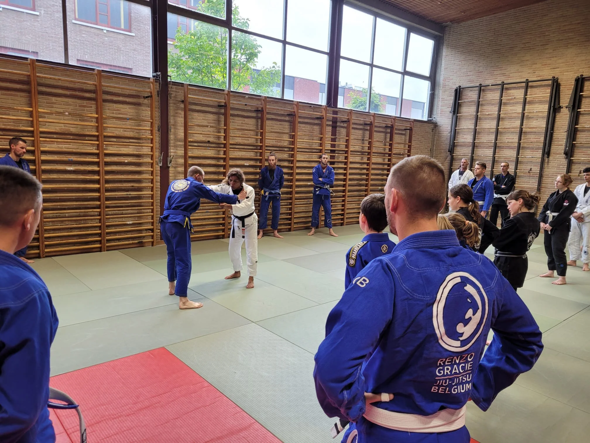 Hannette Staack Seminar 2022 Renzo Gracie Belgium