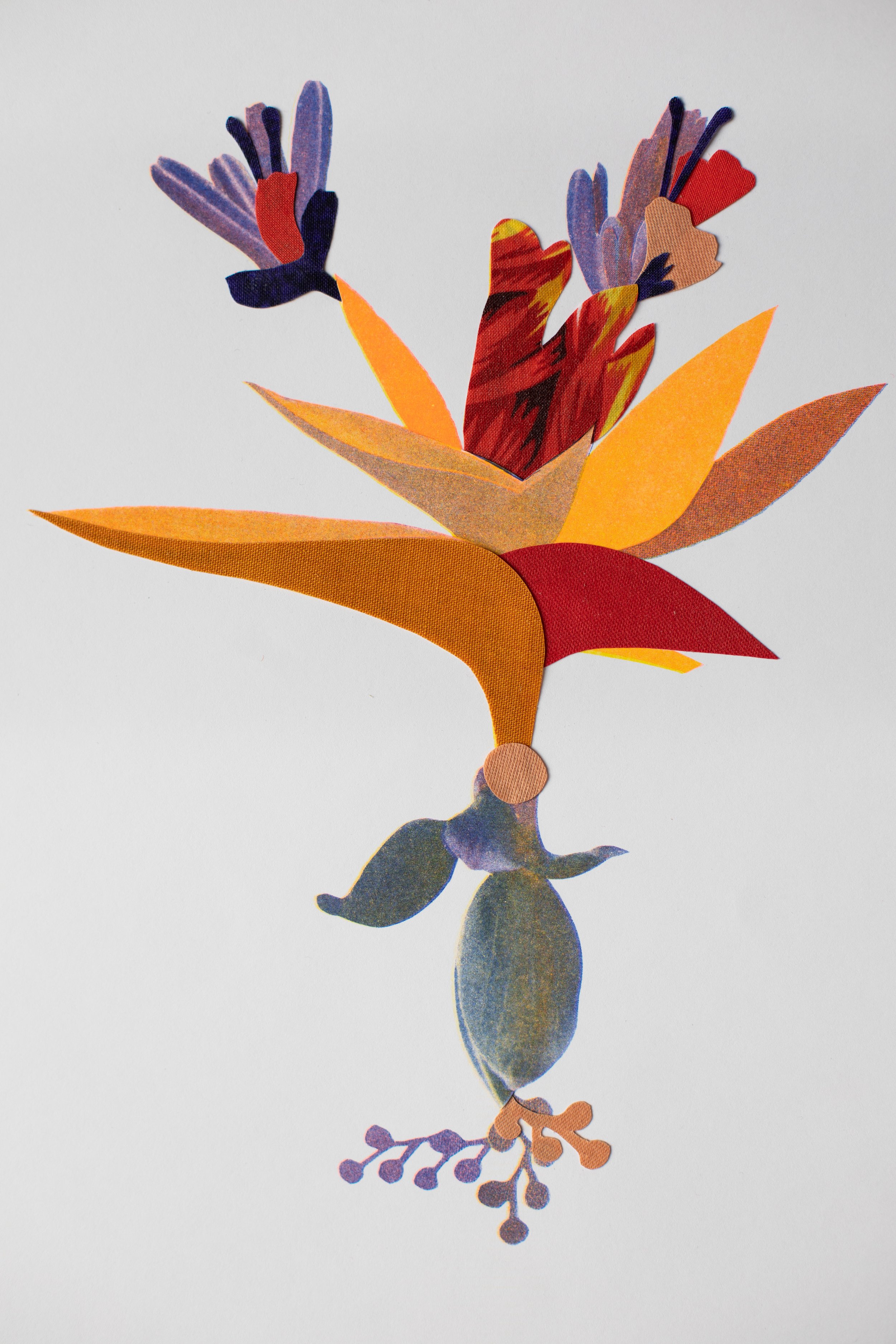 Plante risographie