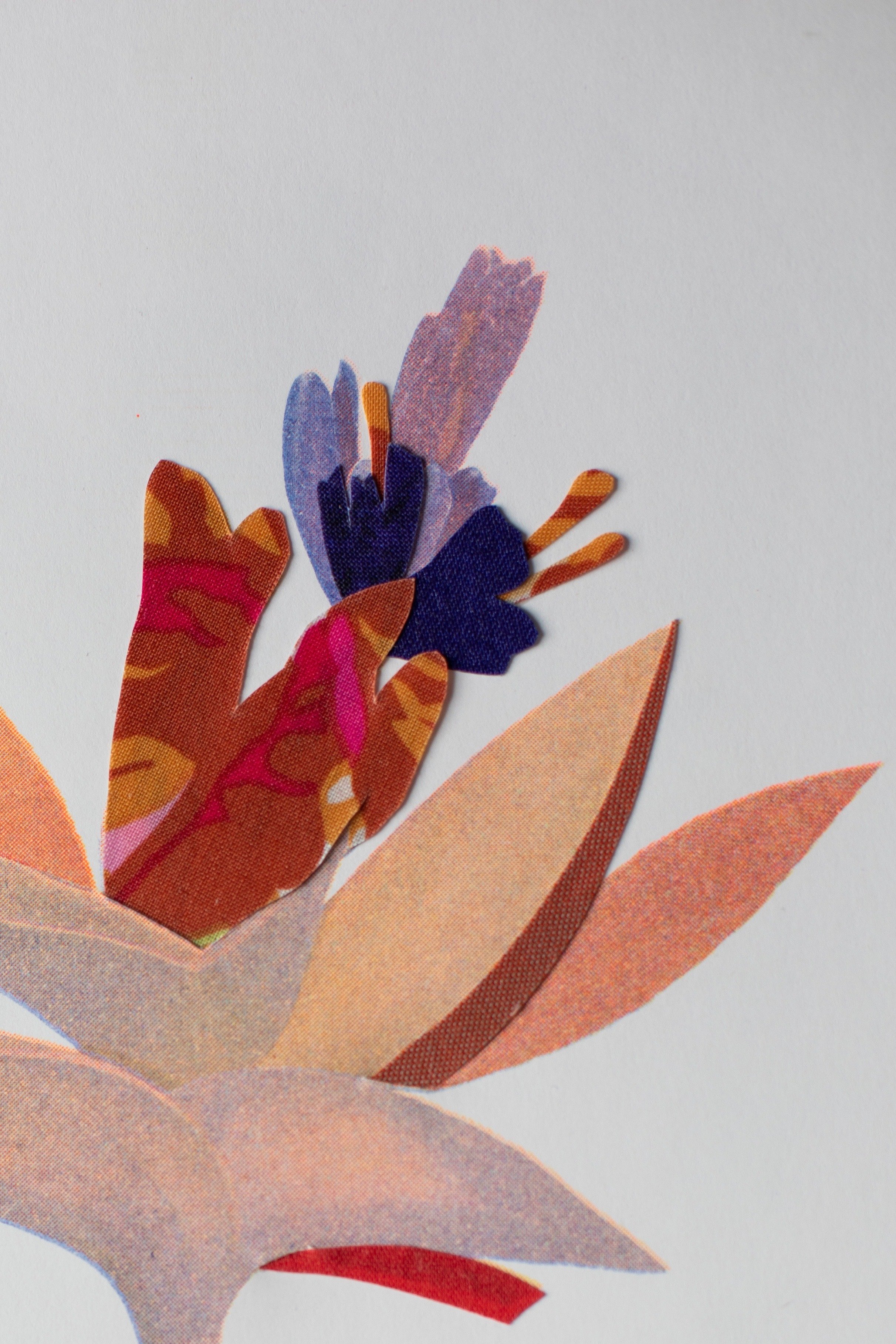 Plante risographie