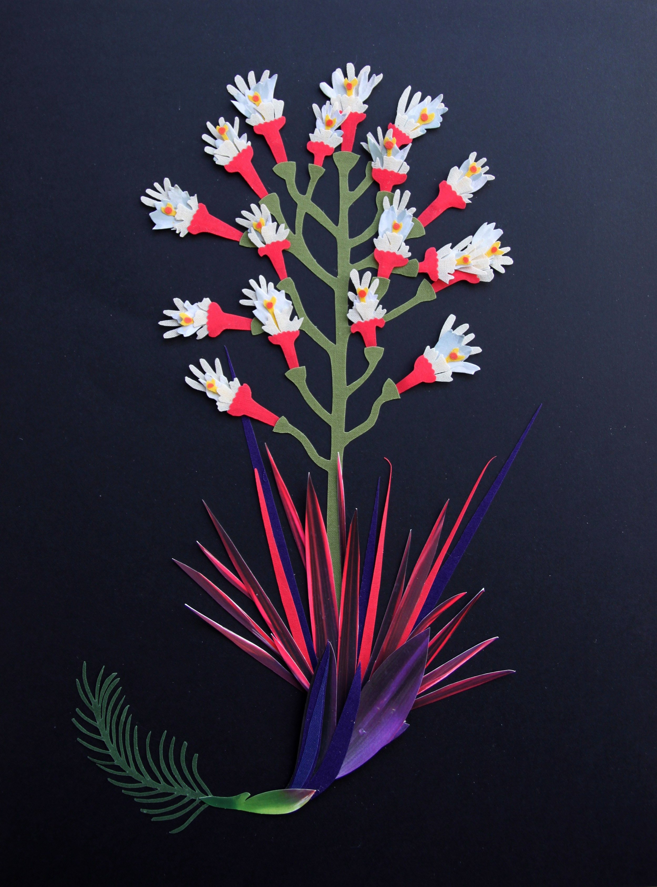 Herbier imaginaire