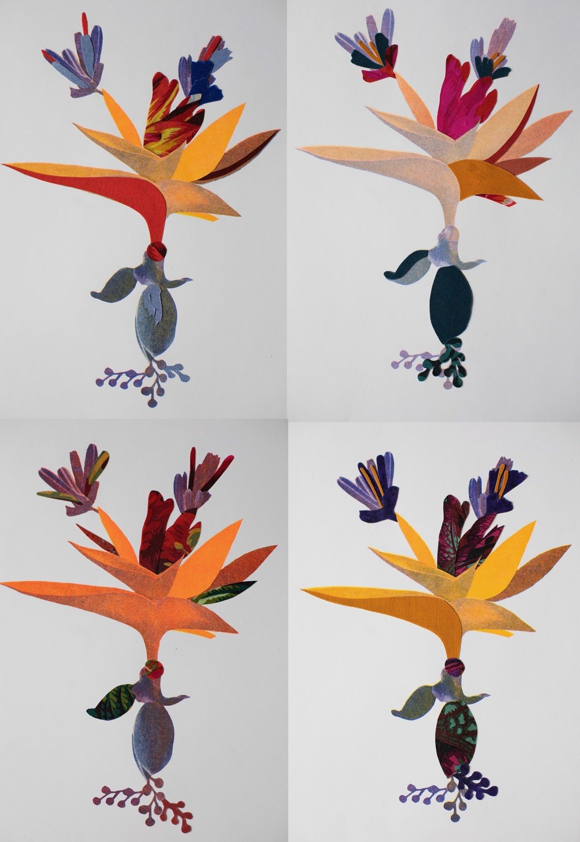 Plante risographie