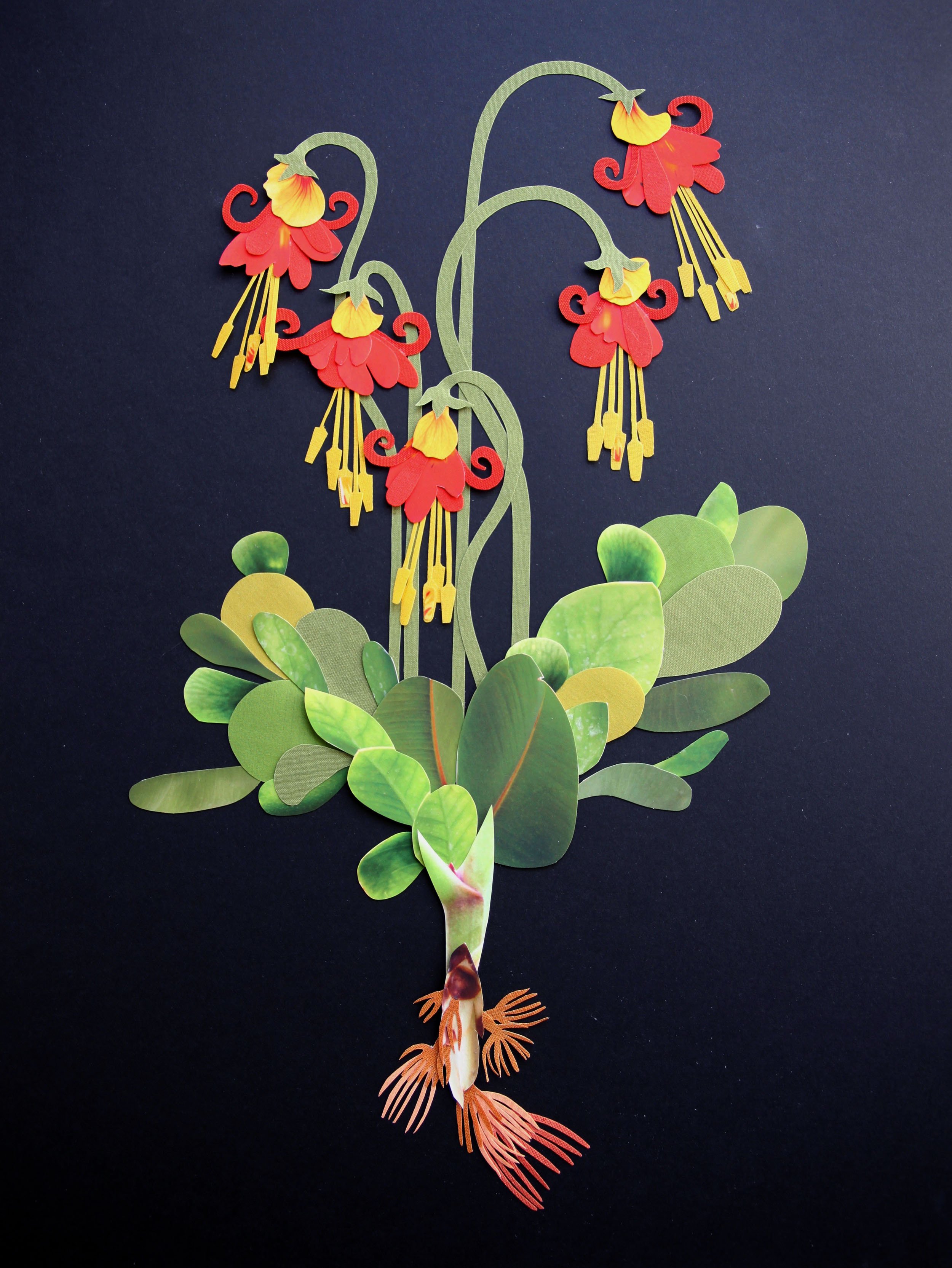 Herbier imaginaire