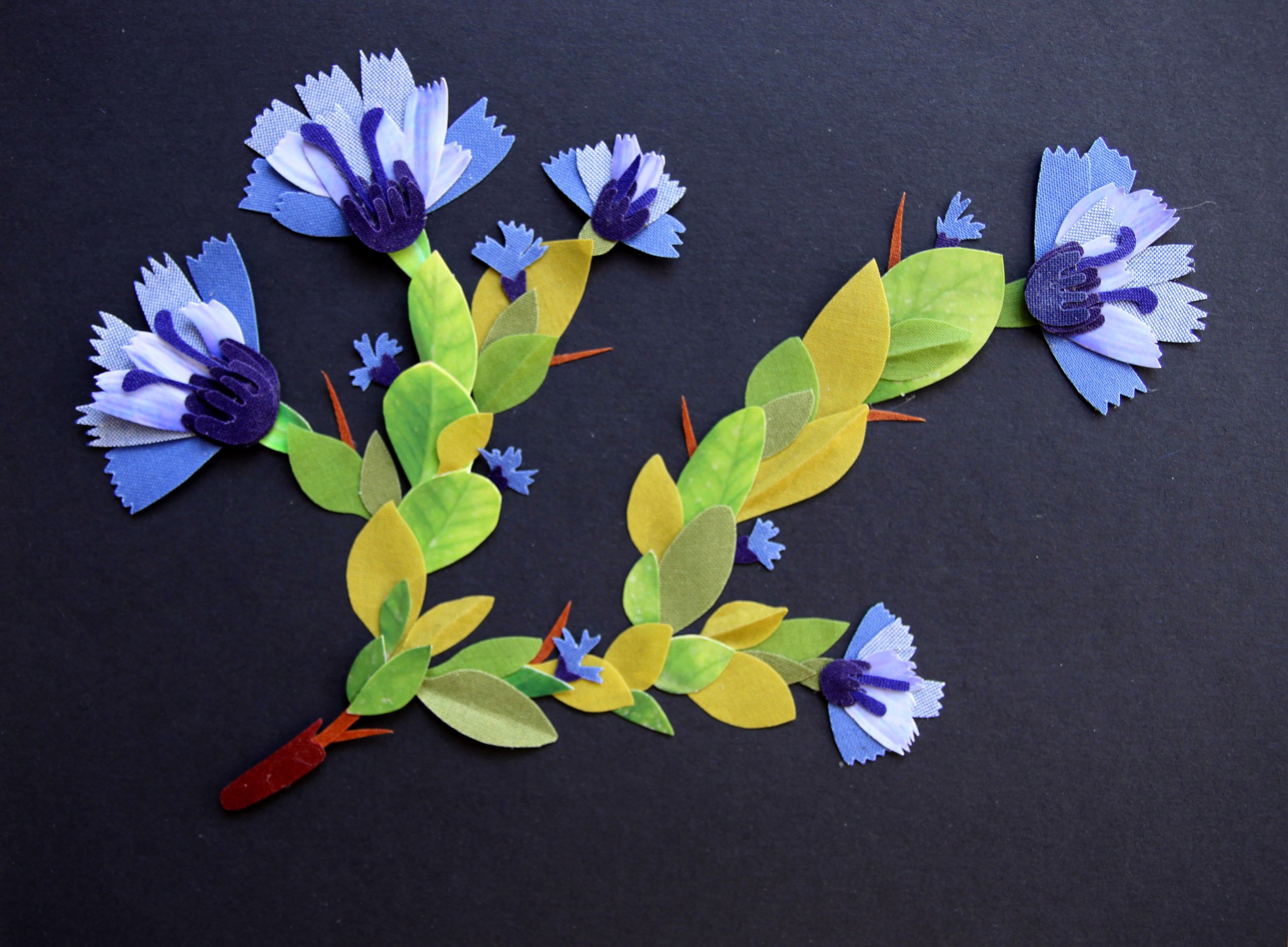 Herbier imaginaire