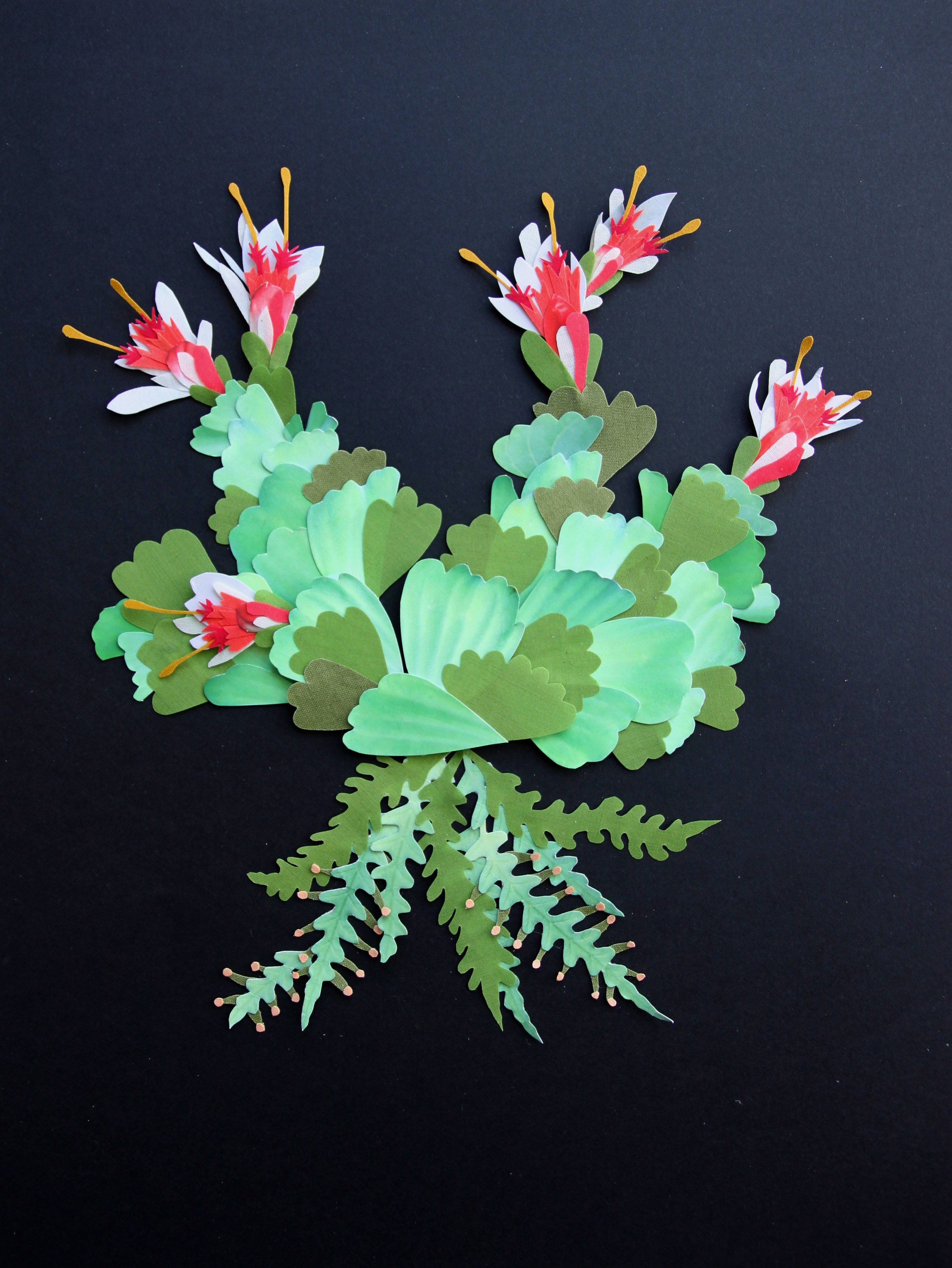 Herbier imaginaire