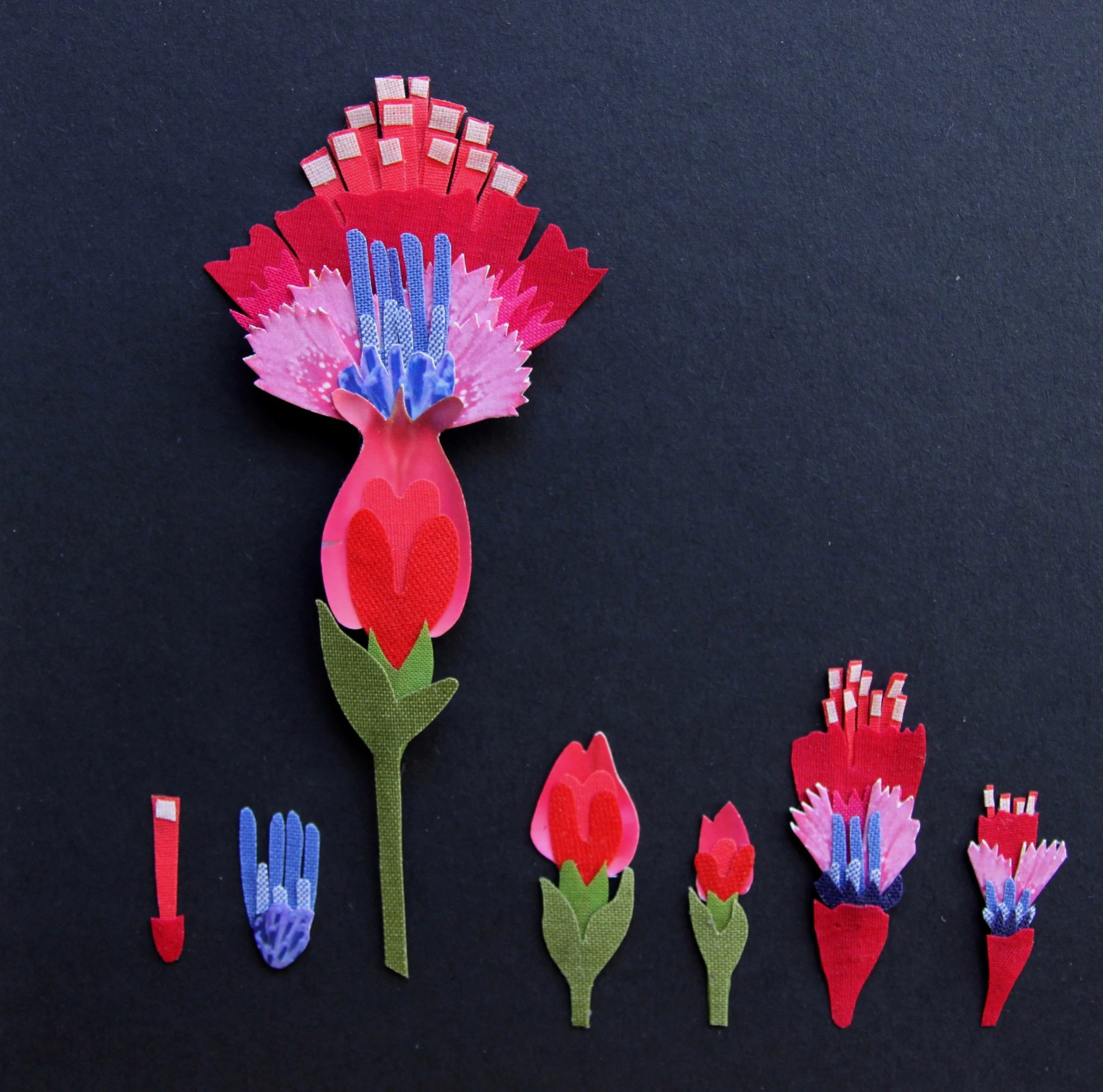 Planche botanique_10.jpeg