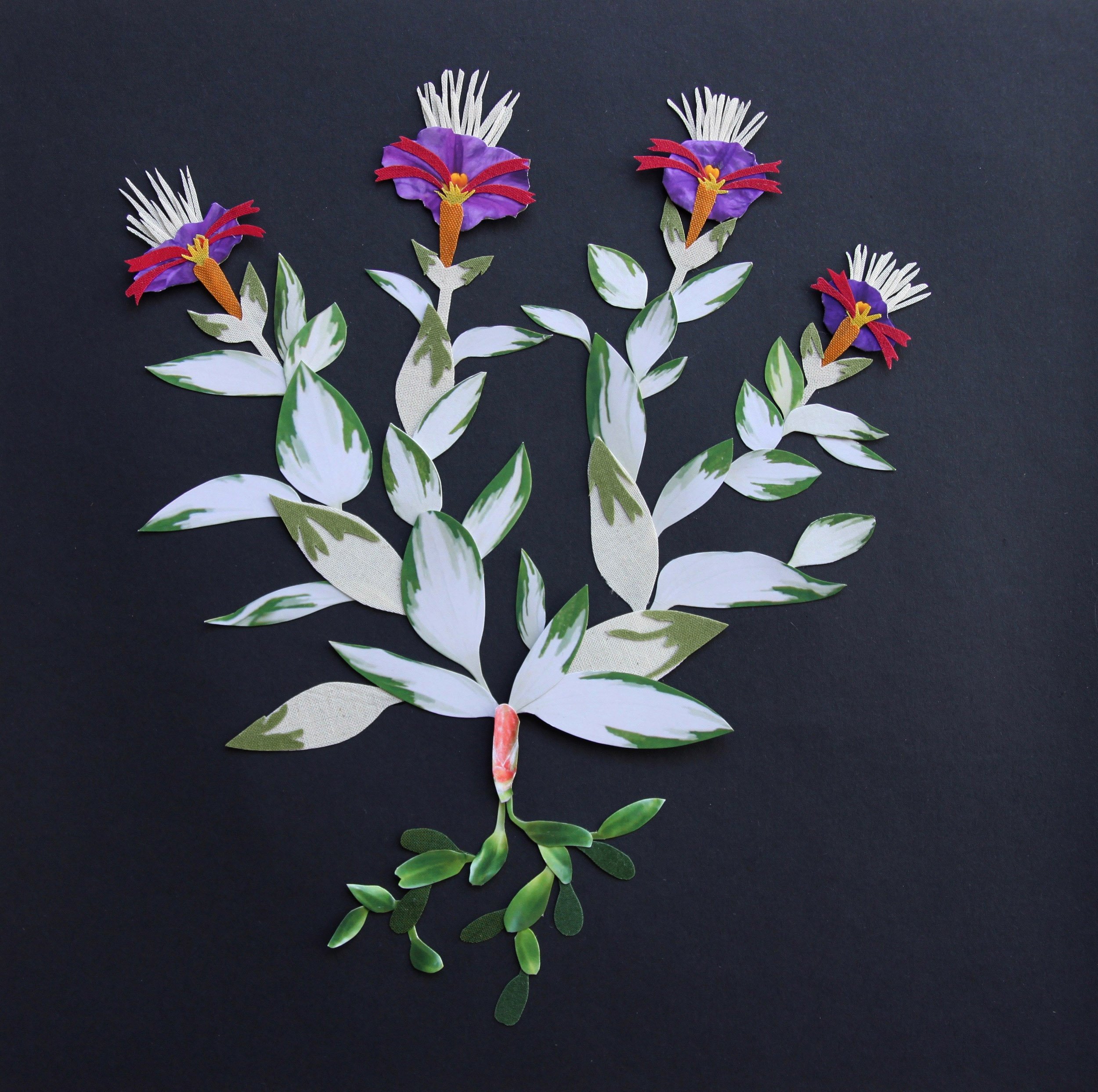 Herbier imaginaire