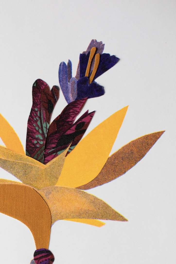 Plante risographie