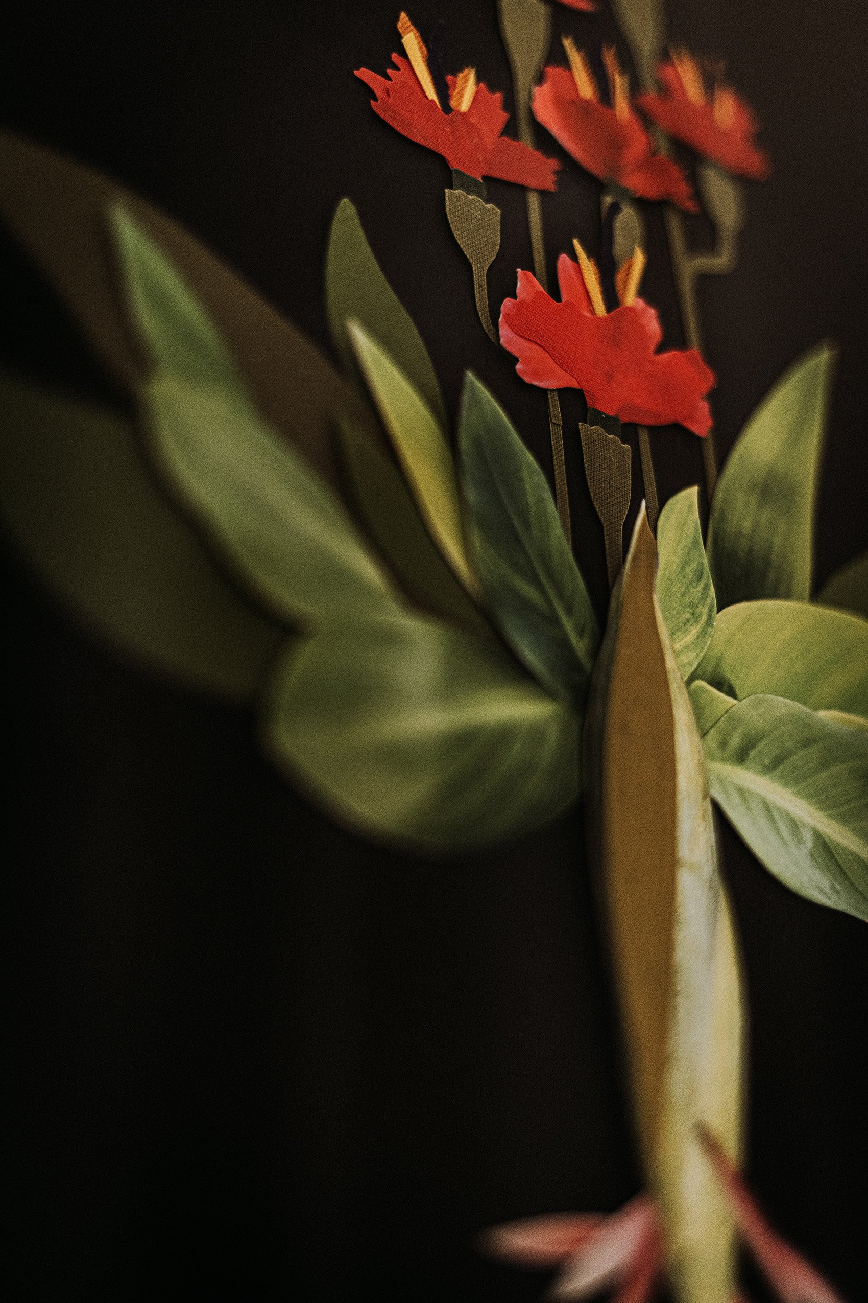 Herbier imaginaire