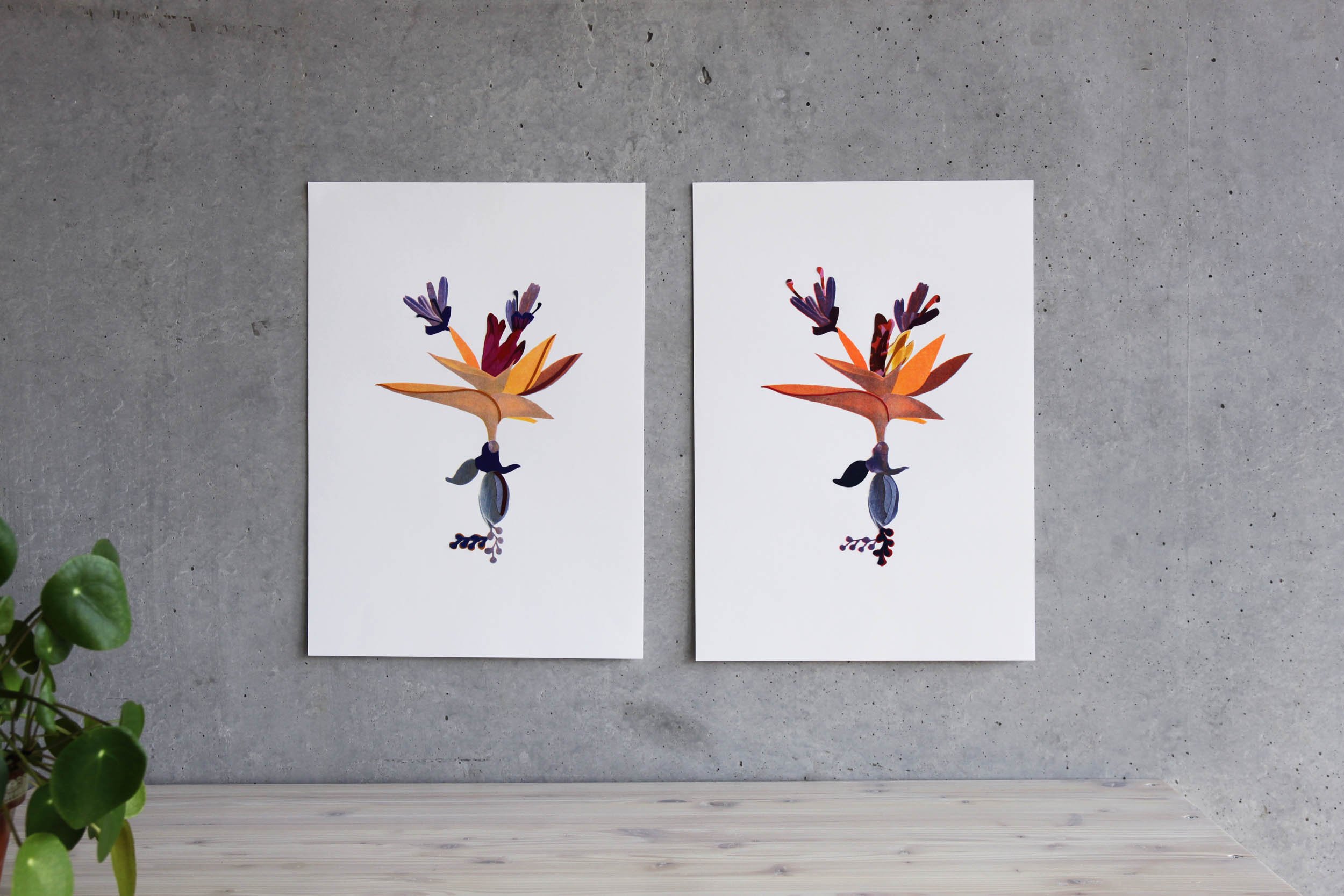 Plante risographie