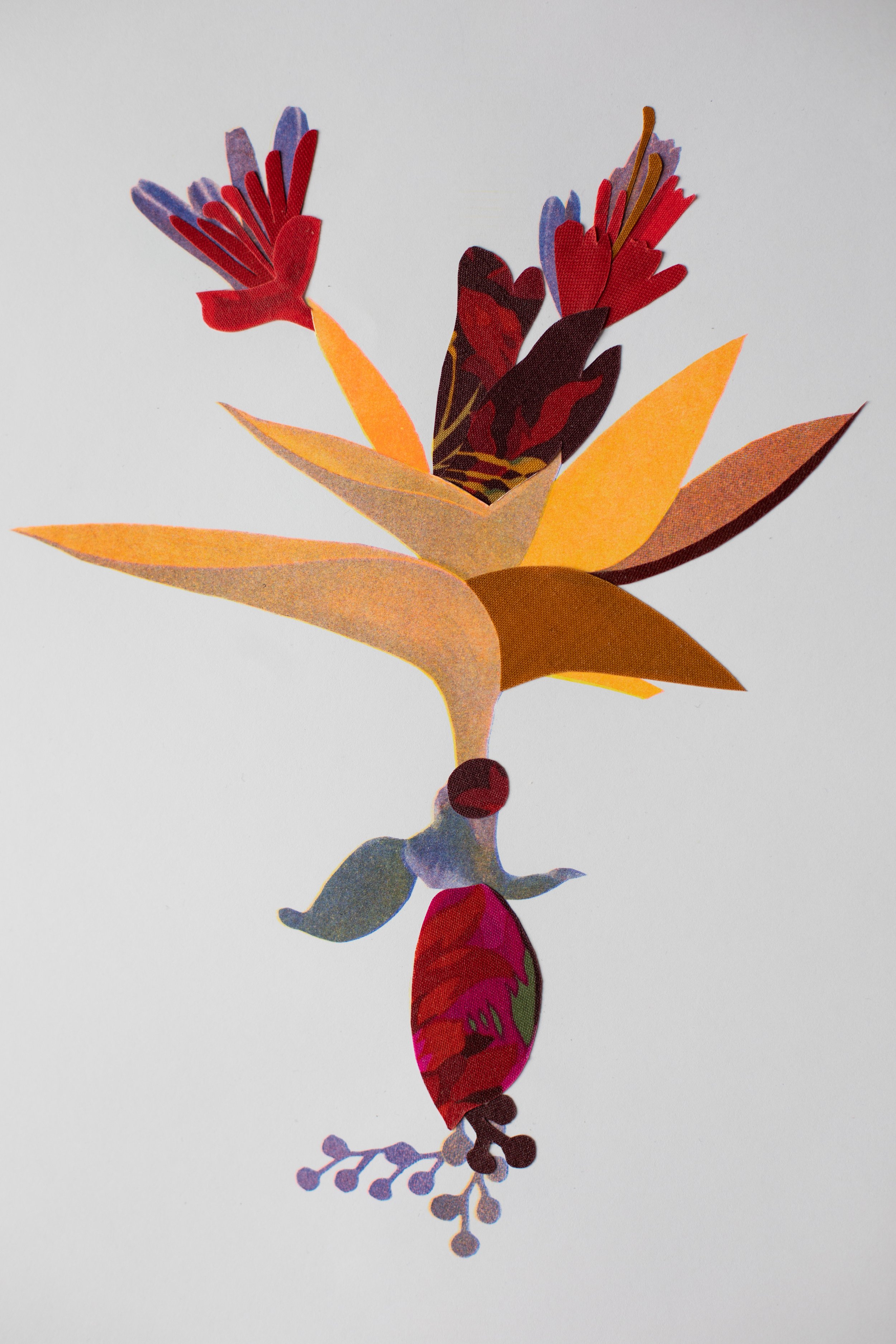 Plante risographie