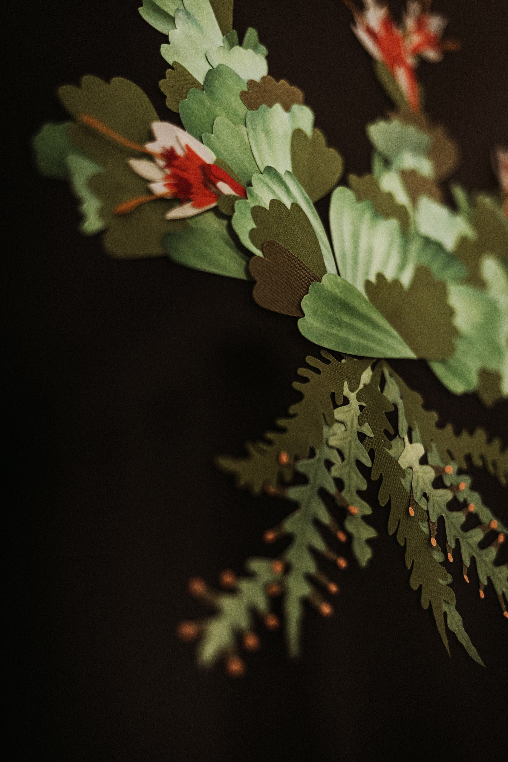 Herbier imaginaire