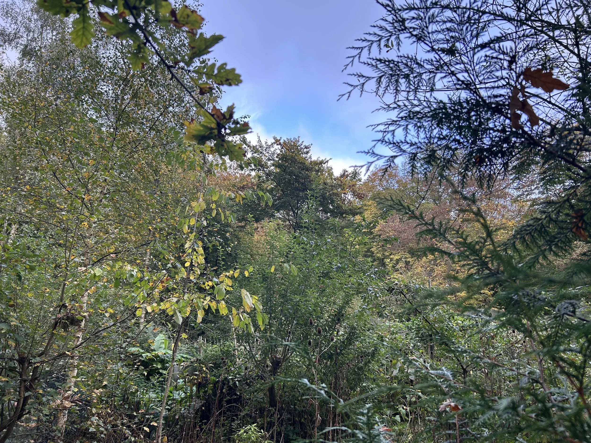 IMG_0657.jpeg