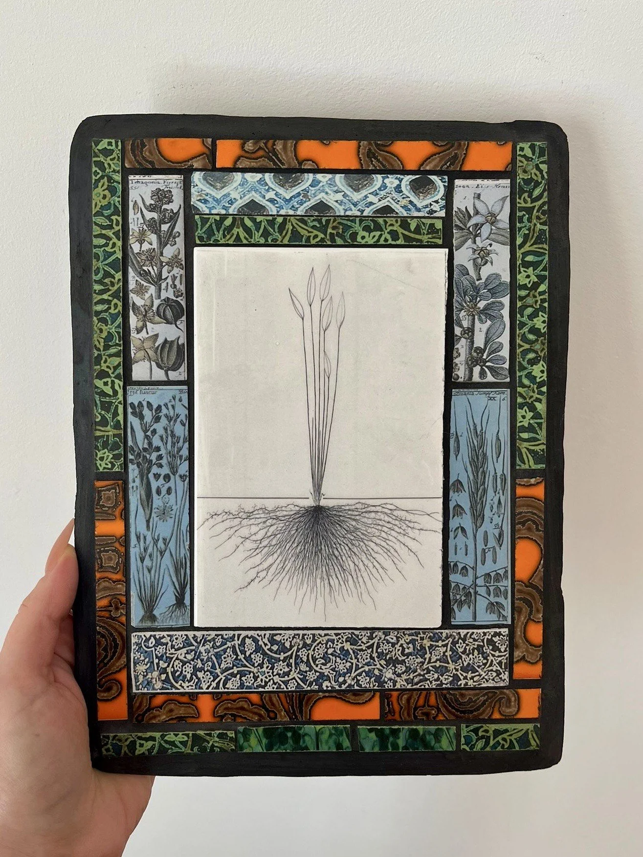 Water Plaintain.jpeg