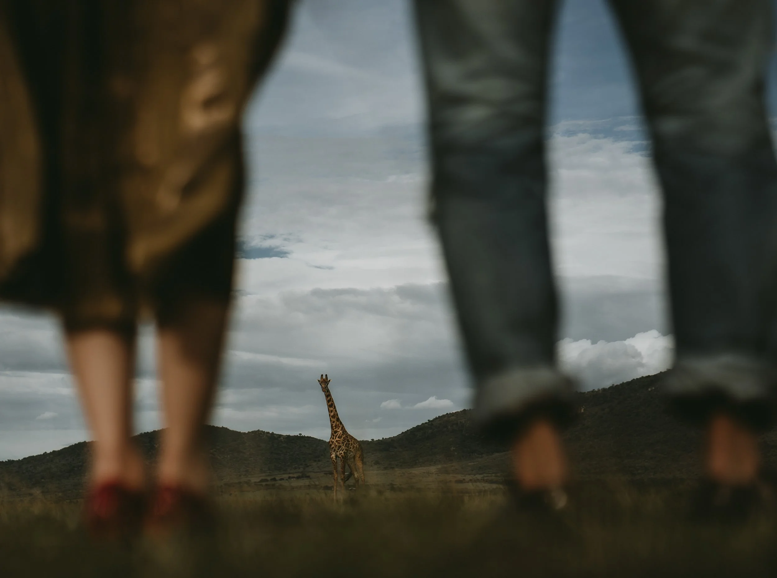 CHEKA portfolio 118.jpg