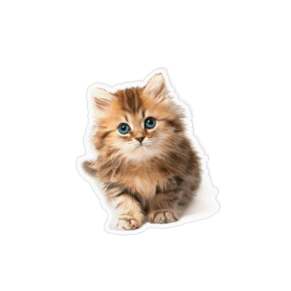 Stickers Decoupe A La Forme Chat Qui Pose Bebe L Atelier A Stickers