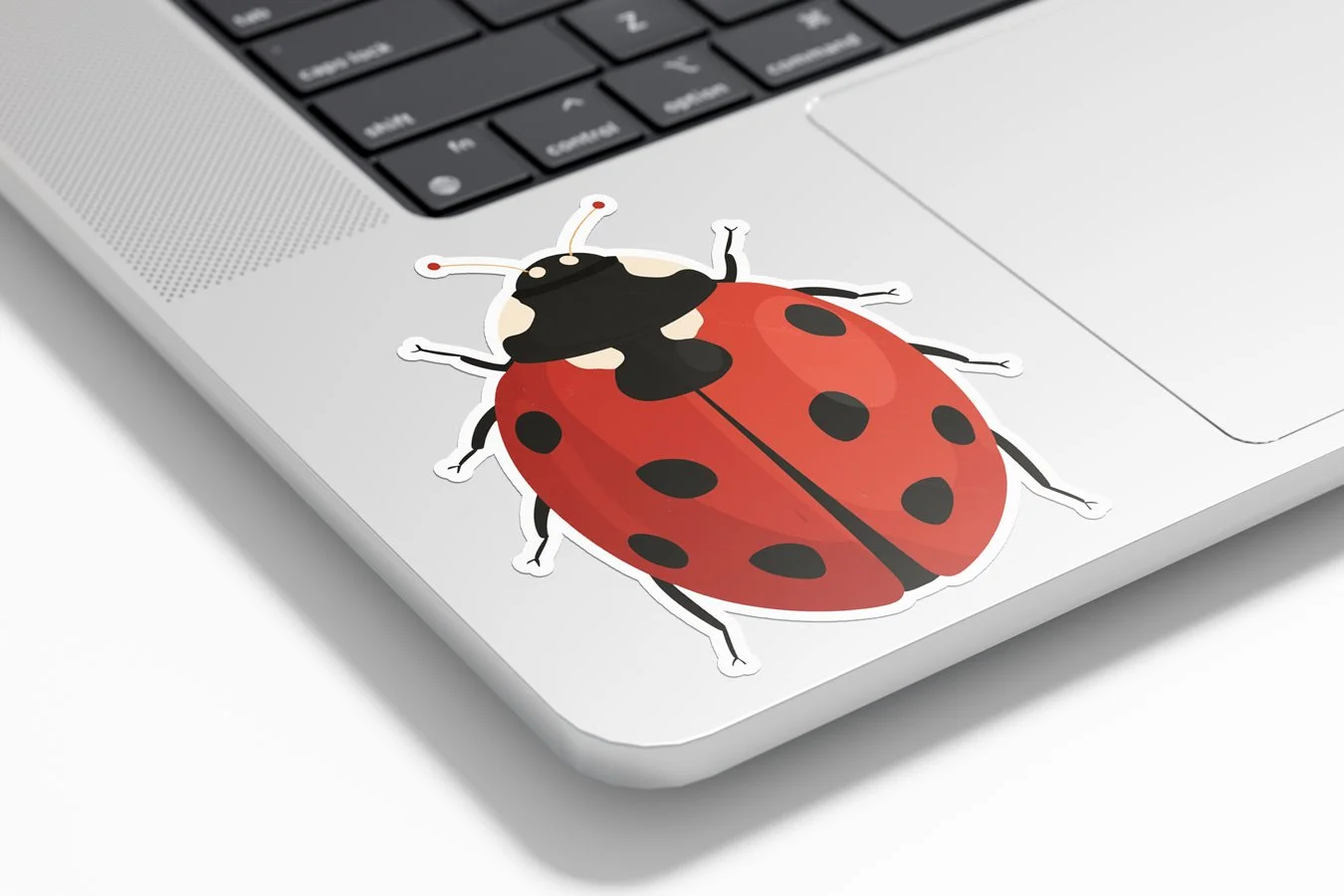 stickers_autocollant-coccinelle-insecte-porte-bonheur-rouge-noir-points-maison-plantes-jardin-3.jpg
