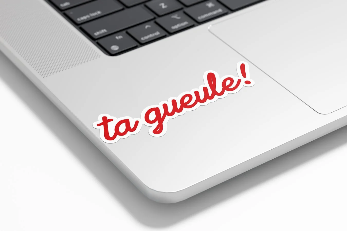 stickers_autocollant_ta-gueule-expression-drole-bouche-parler-stop-fun-message-vinyle_3.jpg