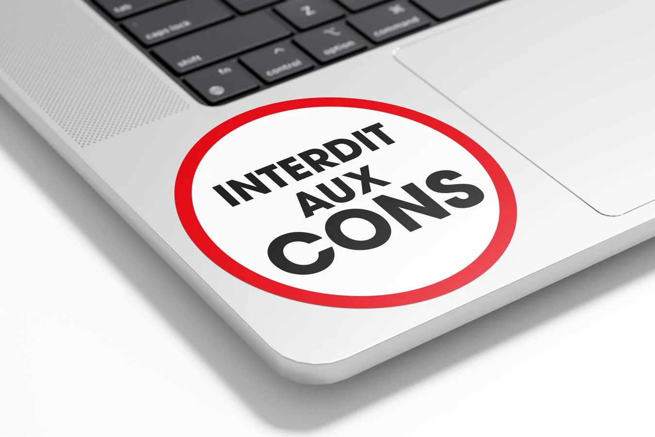 stickers_autocollant_panneau-interdit-aux-cons-drole-fun-message-anti-contre-gens_vinyle_3.jpg