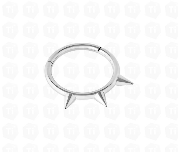 hinged-segment-ring-with-spikes1332.jpeg