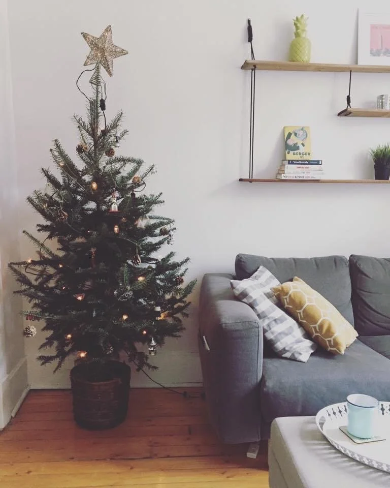Sapin home.JPG