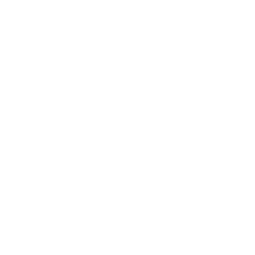 Two Girls And A Bible Inc