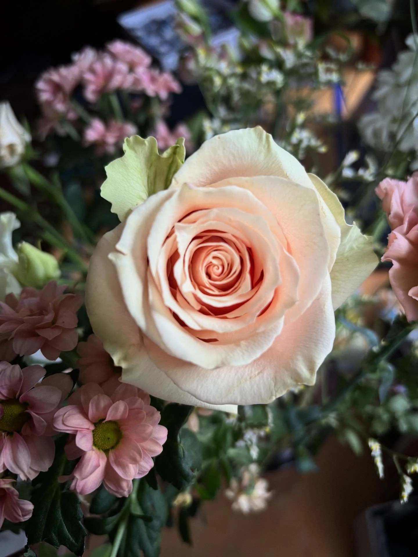 Some beautiful flowers to soothe your tired eyes x

#flowers #takeabreak #pause #doomscrolling #bekind