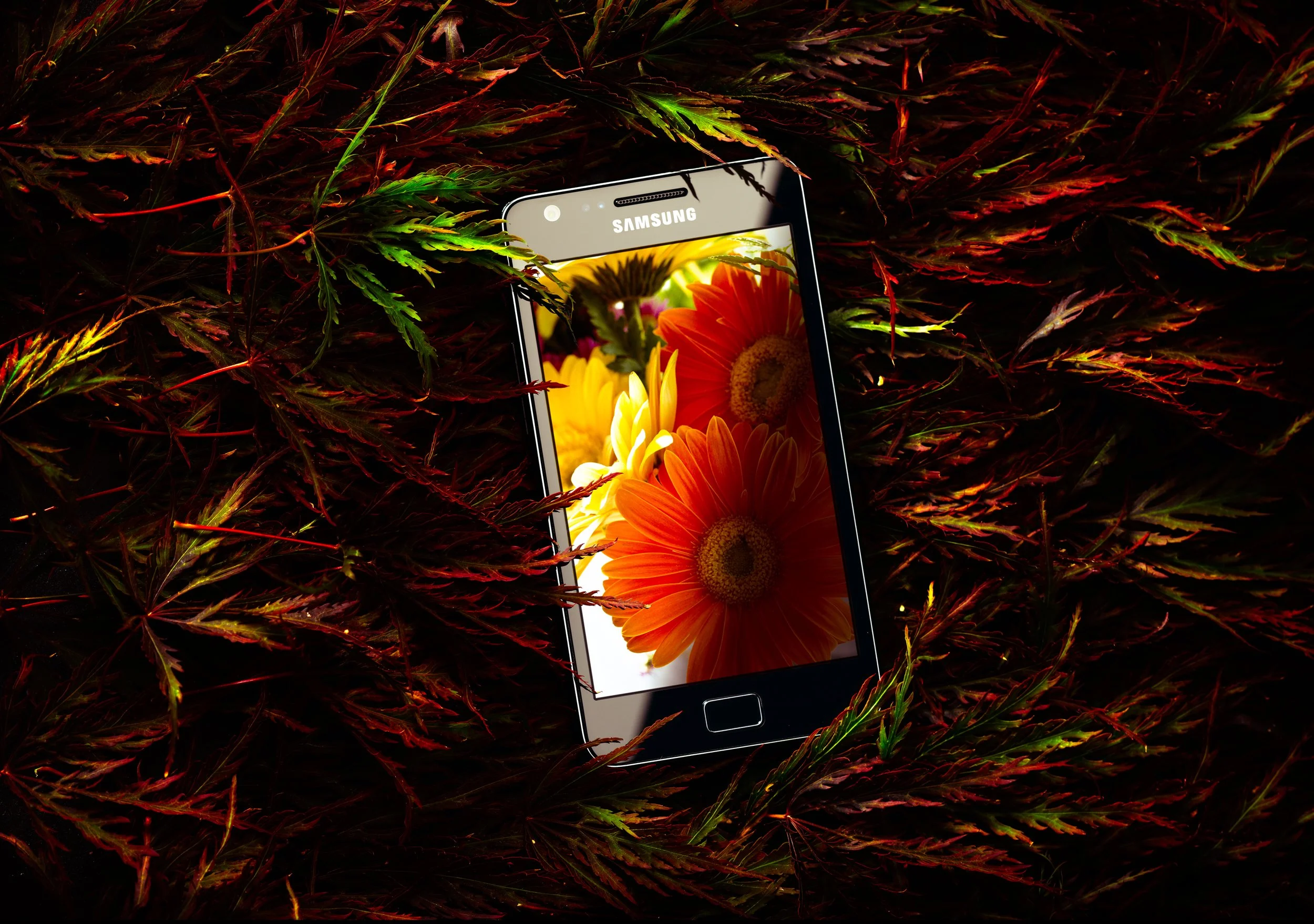 Samsung Galaxy S2 Final.jpg