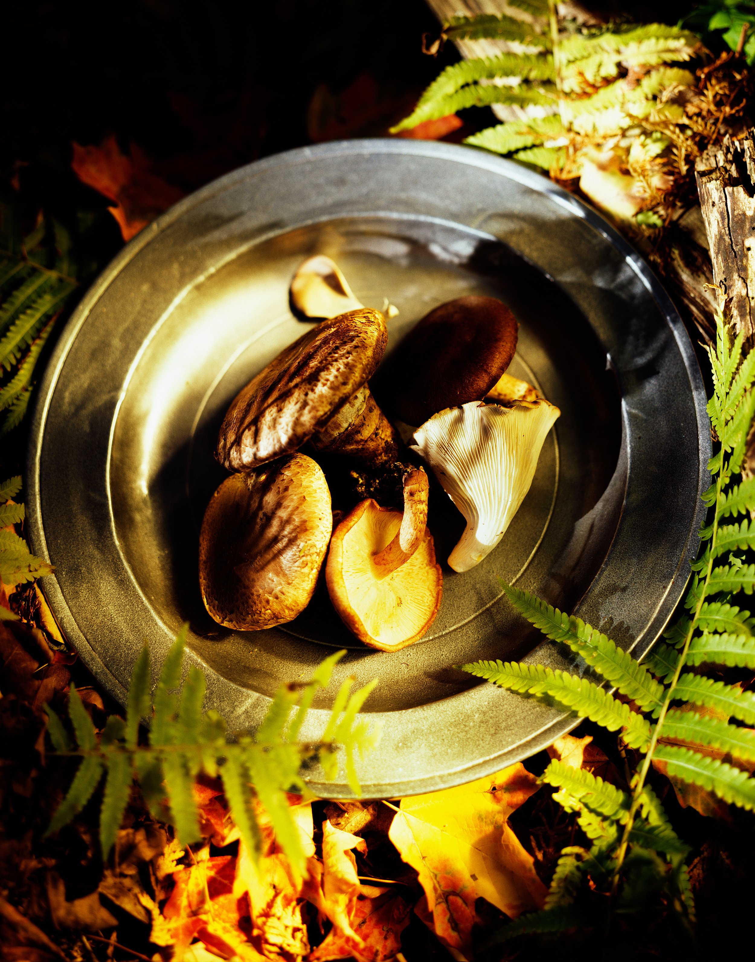 Wild mushrooms Redux.jpg