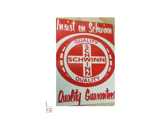 From 1 in 4 bicycles sold in America…Schwinn was America’s bicycle company…to bankruptcy.