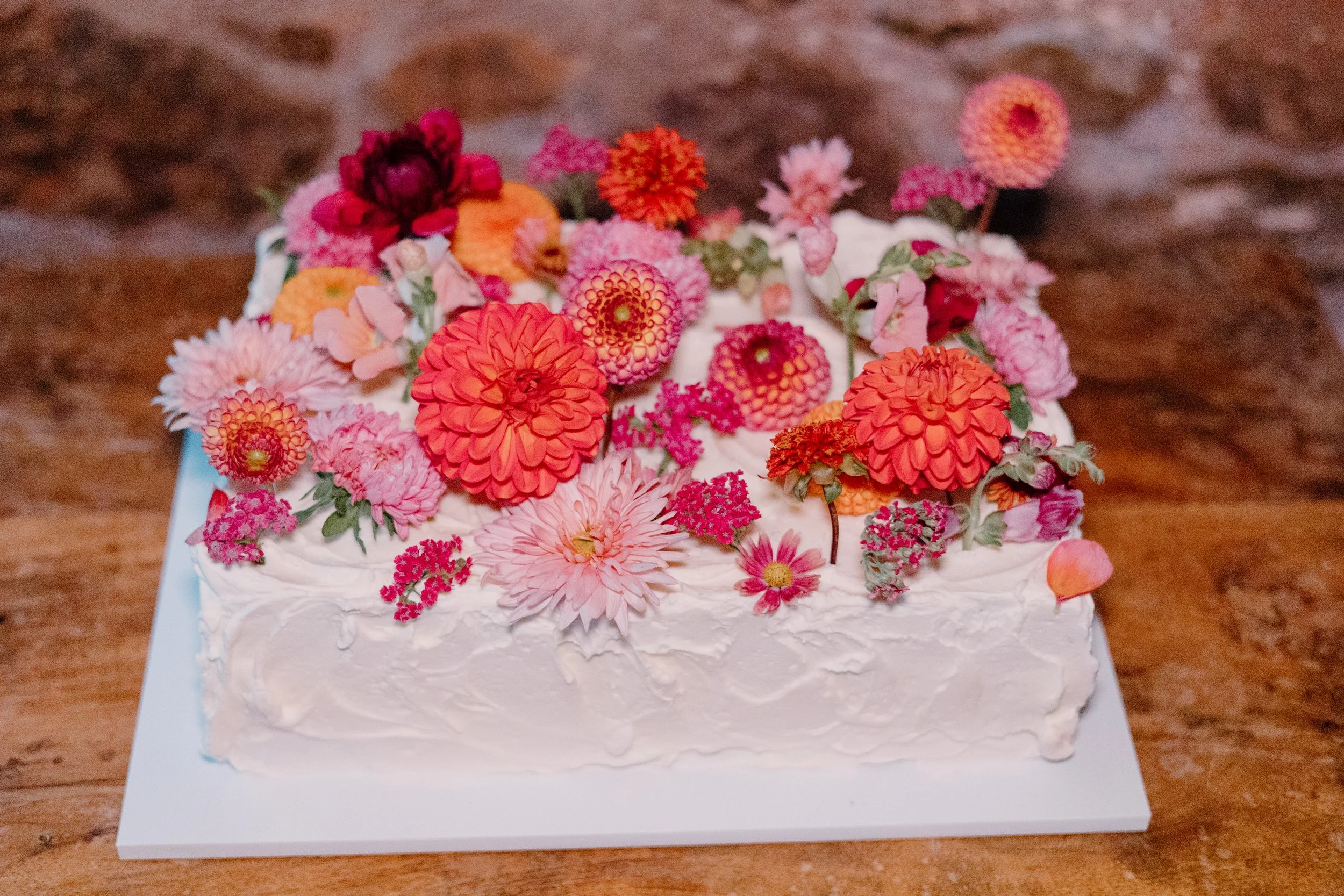 MimosaPhotography-519.jpg