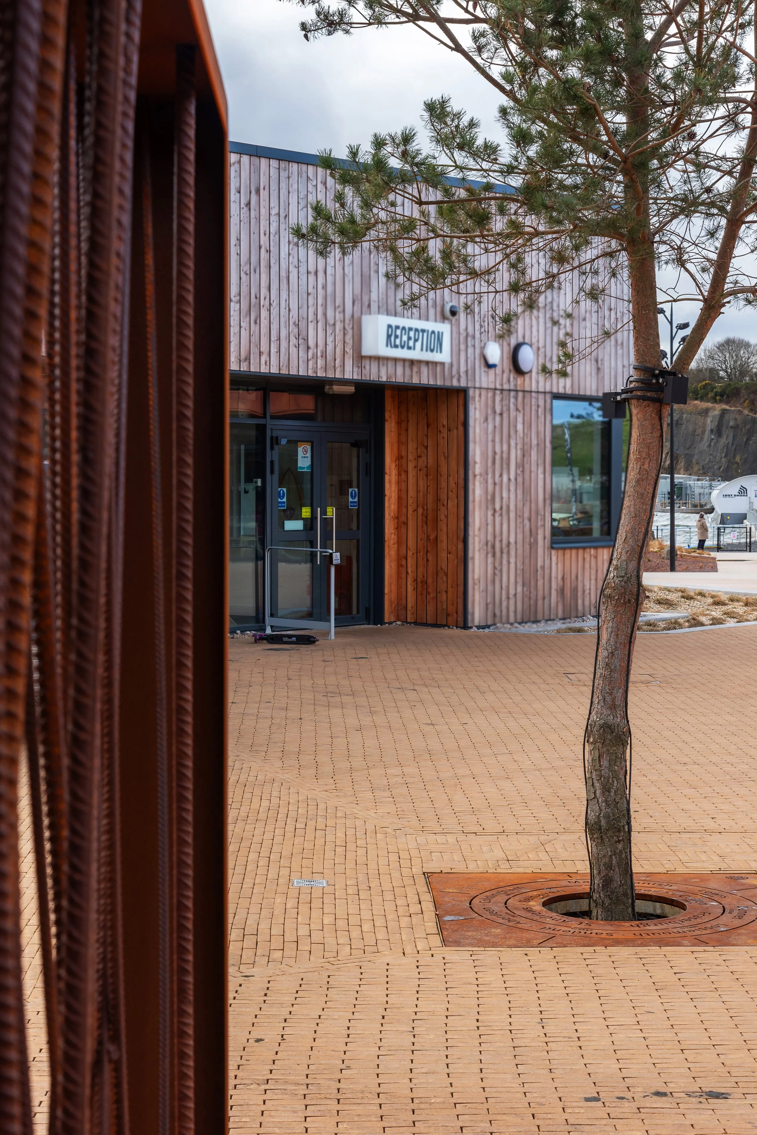 Tree Ring and Gate.jpg