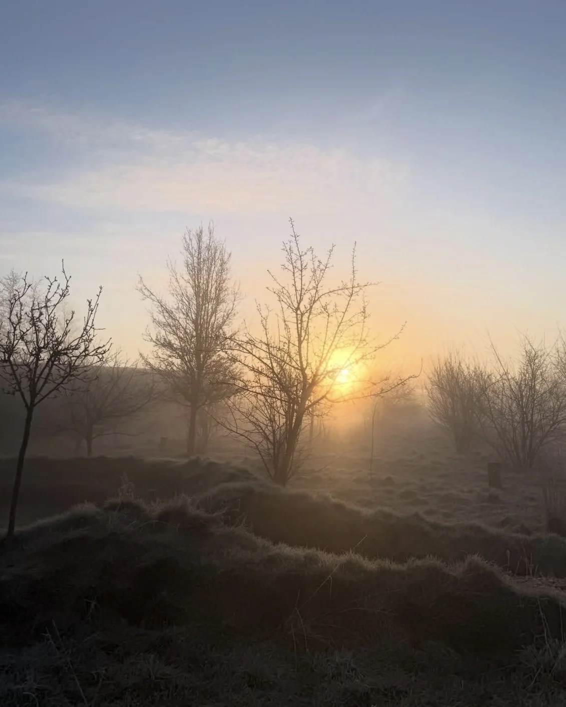 Grinberg Method Training in Amsterdam 2.jpg