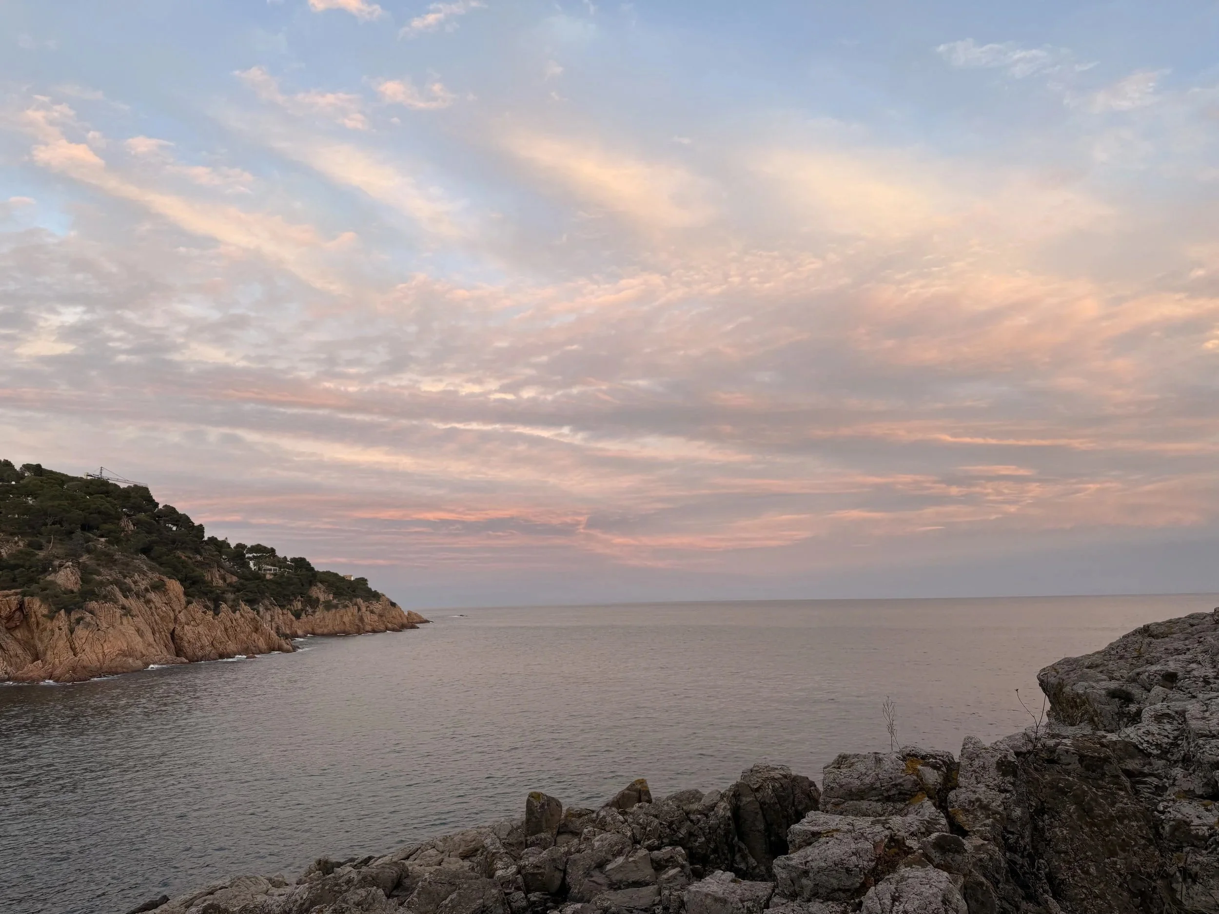 Wonder is the beginning of wisdom…