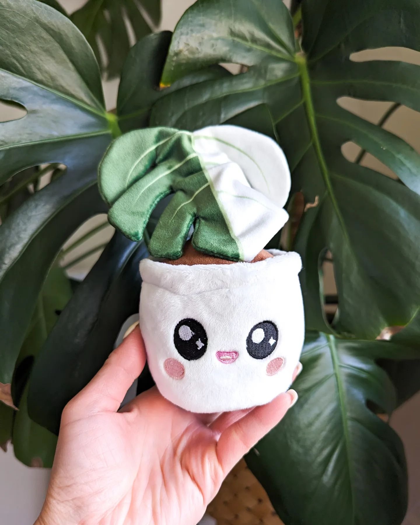 &quot;Let's root for each other and watch each other grow&quot; - 🌿

Blushiez Monstera toy is finally back in stock! Grab yours now before they sell out again! 🤭
