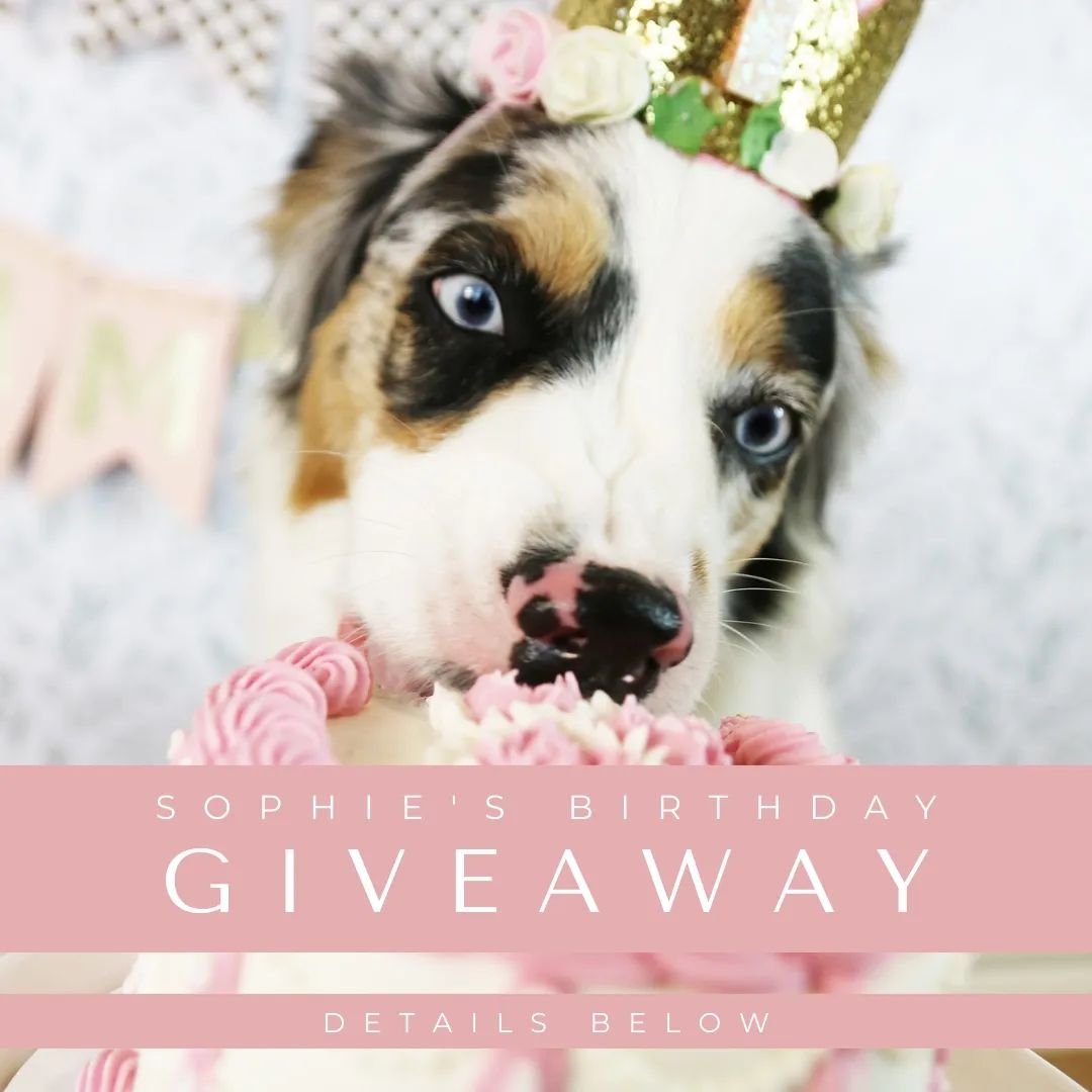 𝗖𝗘𝗢 𝗦𝗼𝗽𝗵𝗶𝗲'𝘀 𝗕𝗶𝗿𝘁𝗵𝗱𝗮𝘆 𝗚𝗶𝘃𝗲𝗮𝘄𝗮𝘆! 🥳🎉
To celebrate Ms. Sophie's 4th birthday, we have teamed up with some of our favorite small businesses for an awesome birthday giveaway! SPOILER ALERT * You may or may not see products from