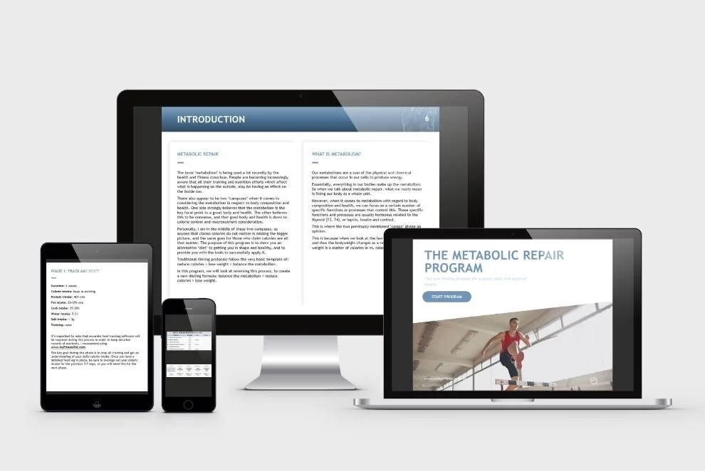 met repair full mock up.JPG