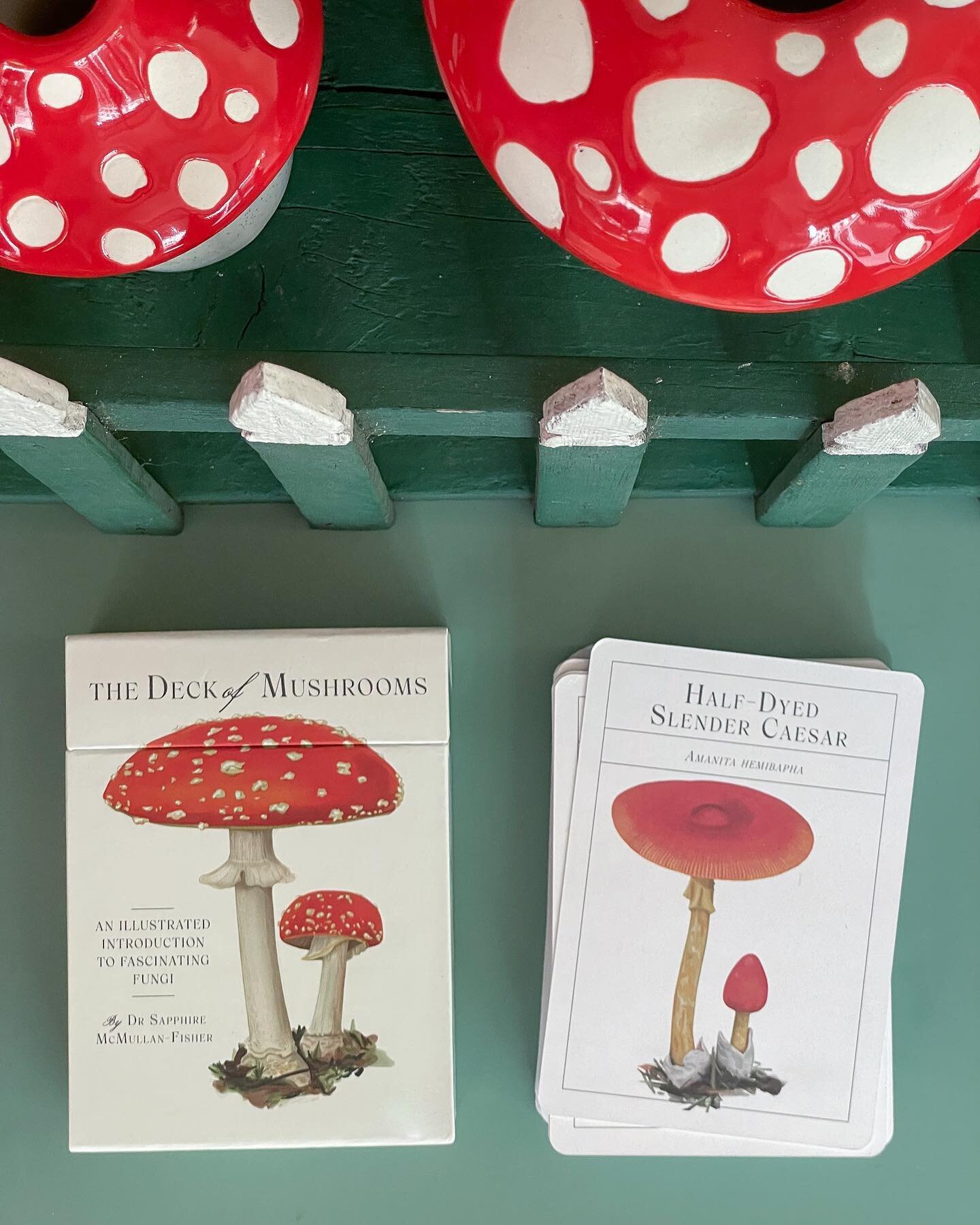 Le Deck of Mushrooms est une introduction au monde fascinant des champignons. 
Du d&eacute;licieux Shiitake &agrave; la mortelle Amanite phallo&iuml;de, The Deck of Mushrooms comprend 52 cartes pour devenir un v&eacute;ritable mycologue en herbe. 🍄✨