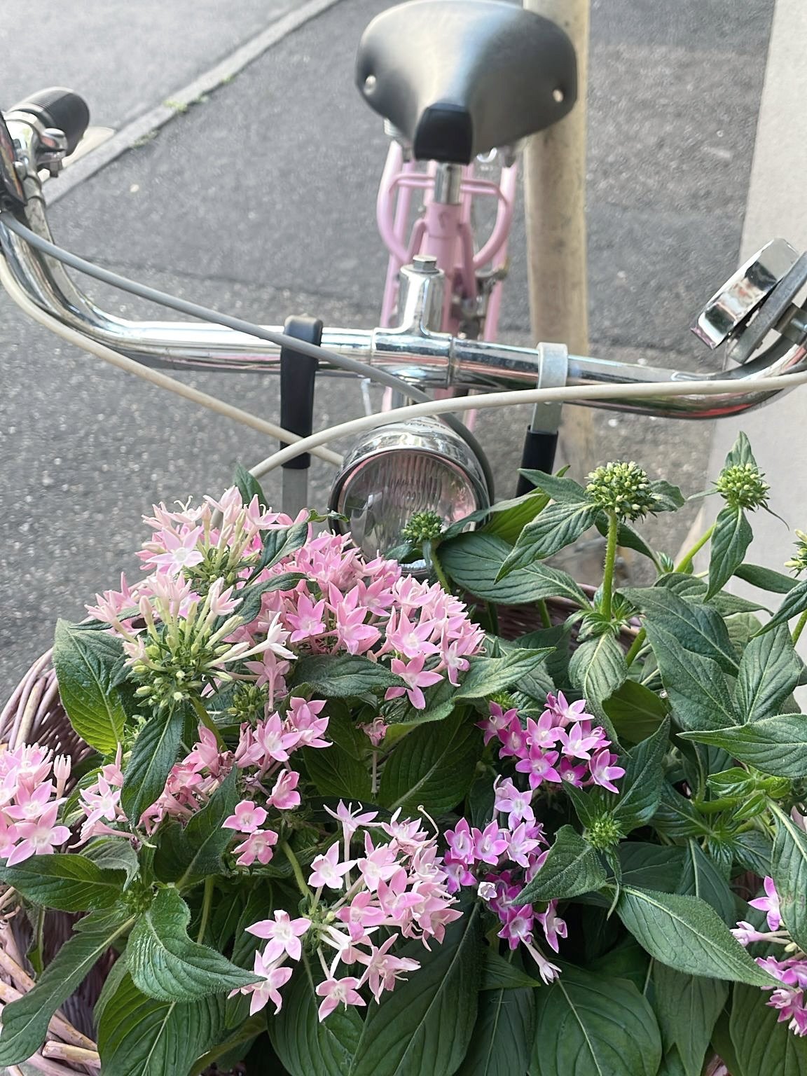 Miscellan&eacute;es du moment @la5e_geneve 🍒✨🌸

#homegoods #vintagetableware #antiqueshop #giftshop