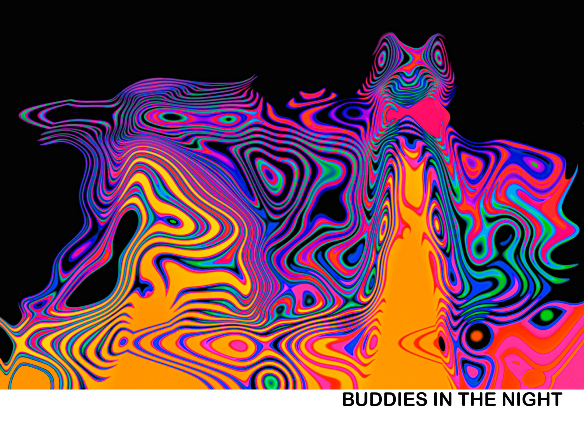 BUDDIES in the NIGHT Titled.jpg