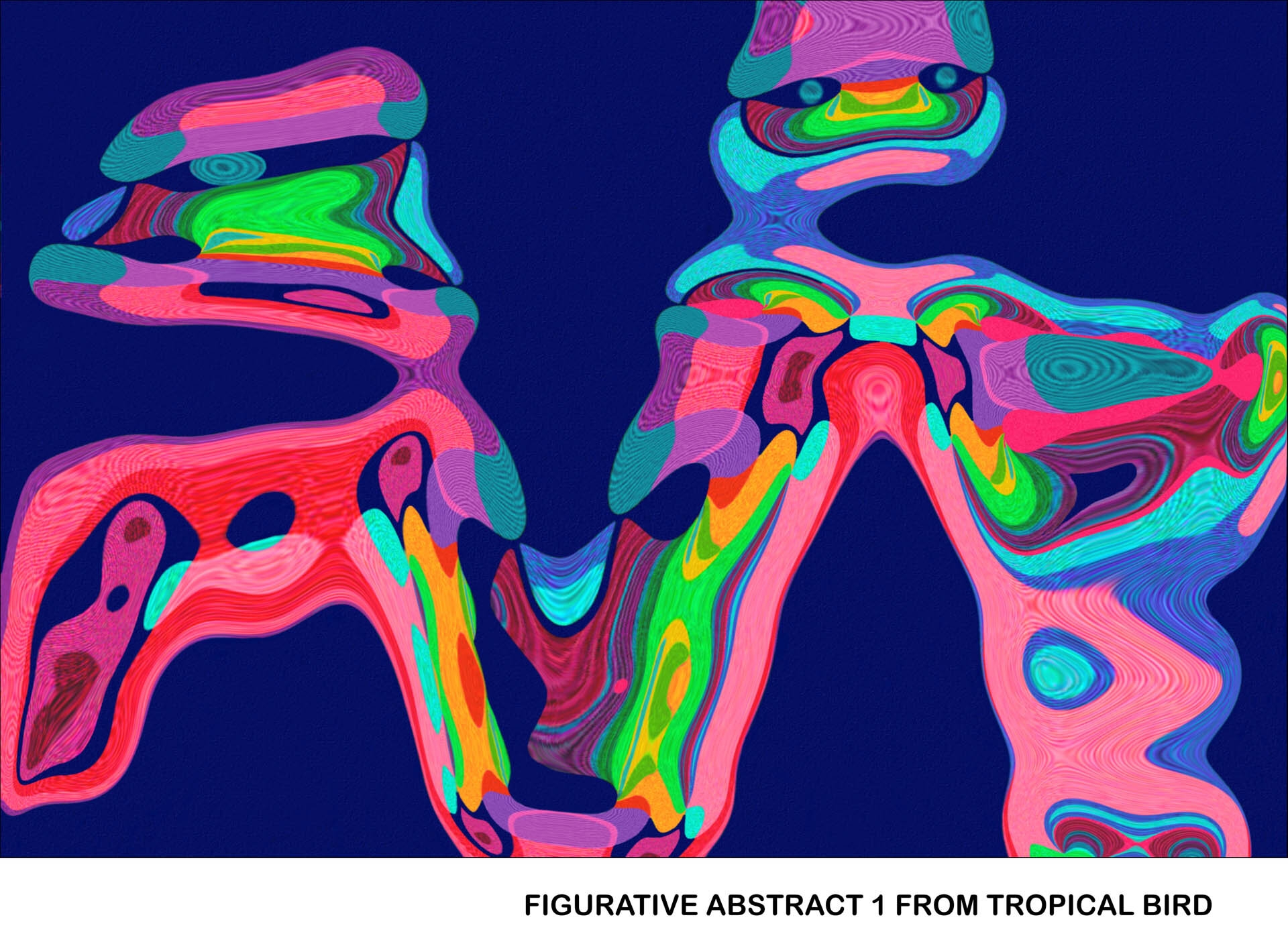 Figurative Abstract 1 from Tropical Bird Titled.jpg