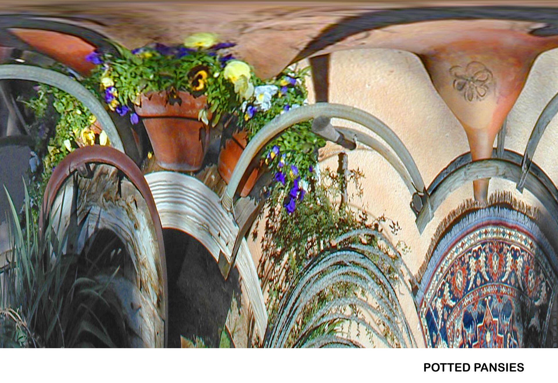 Potted Pansies Titled.jpg
