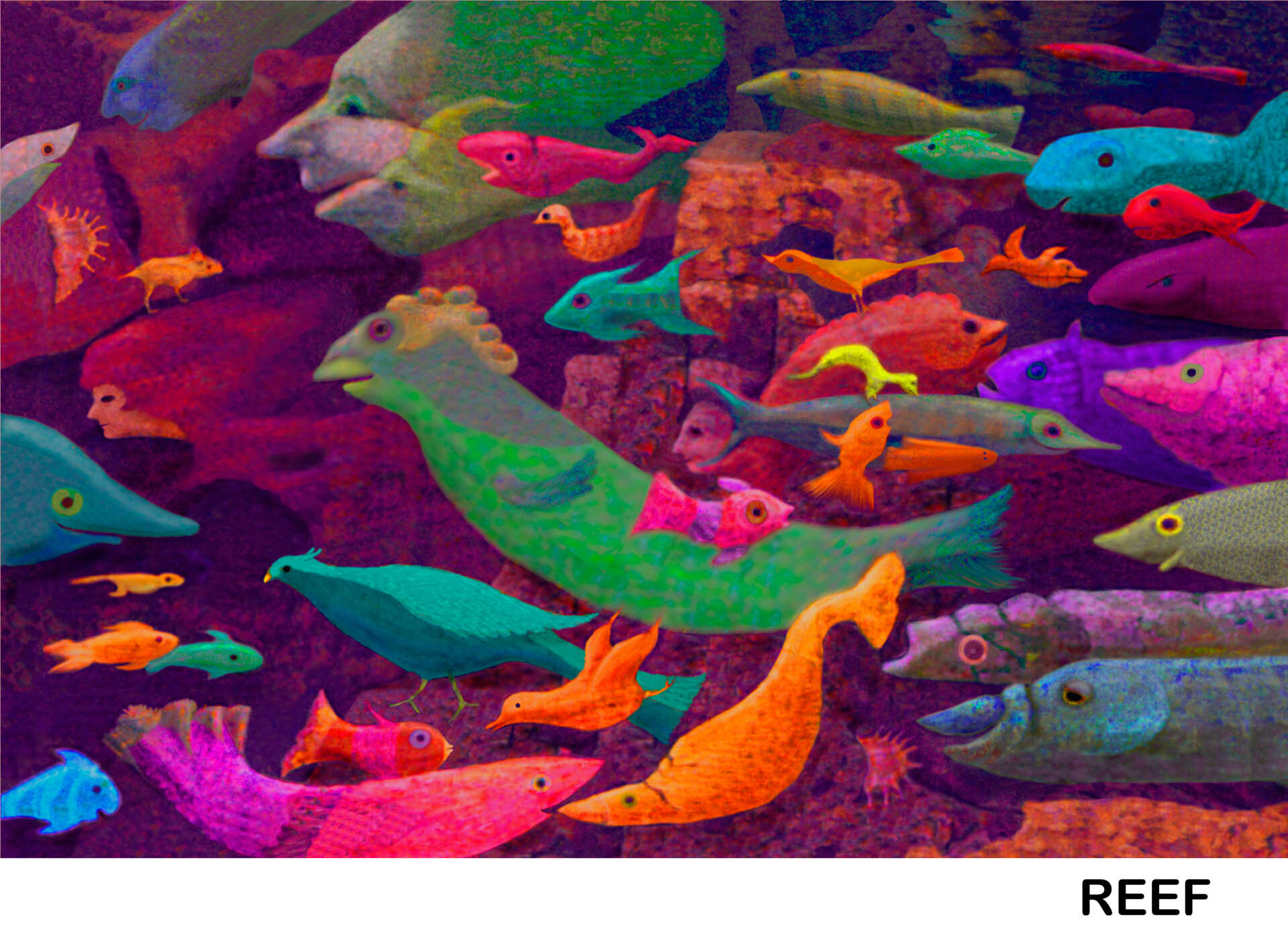 Reef '95- 15_ Titled.jpg
