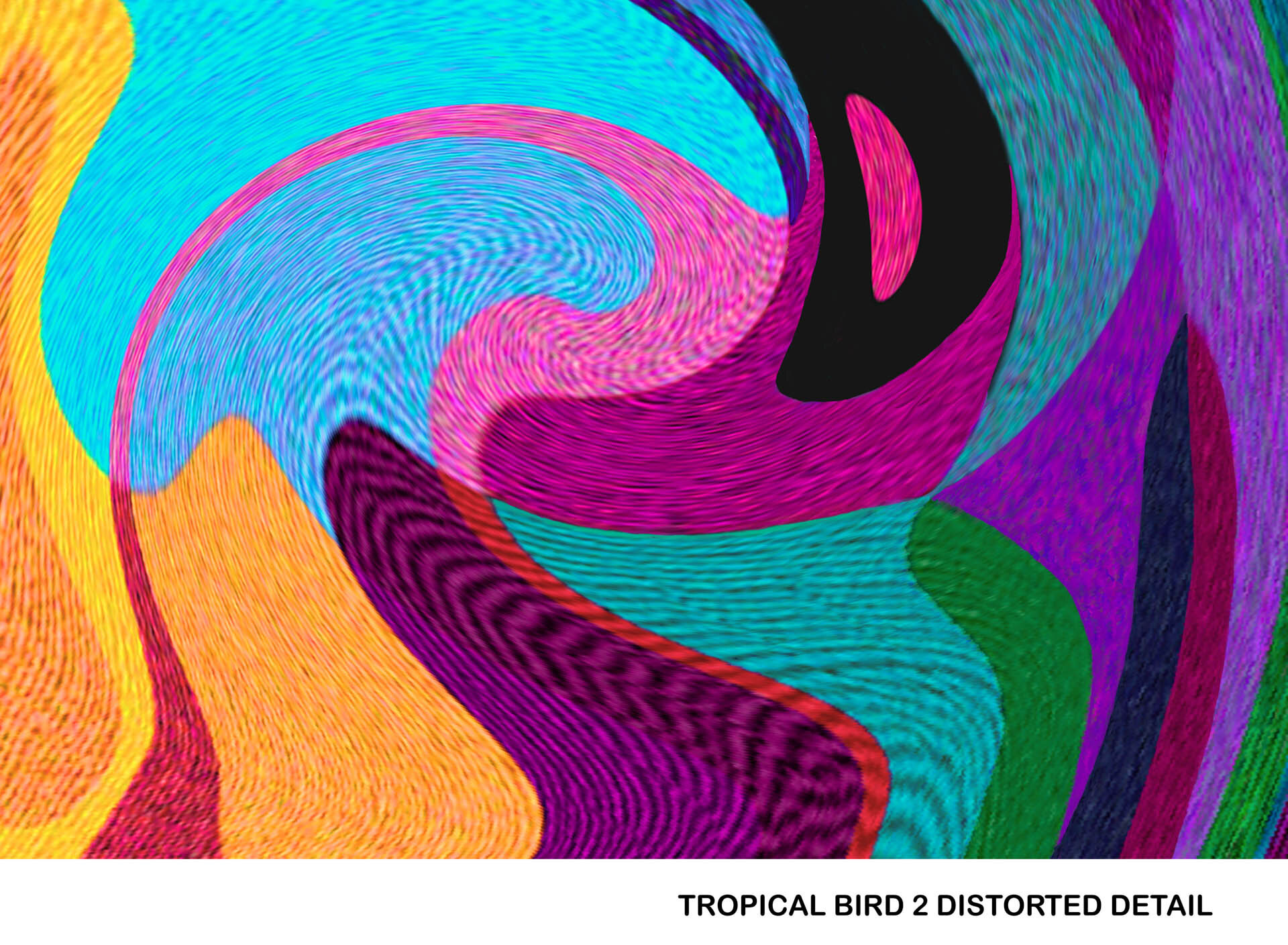 Tropical Bird 2 distorted detail Titled.jpg