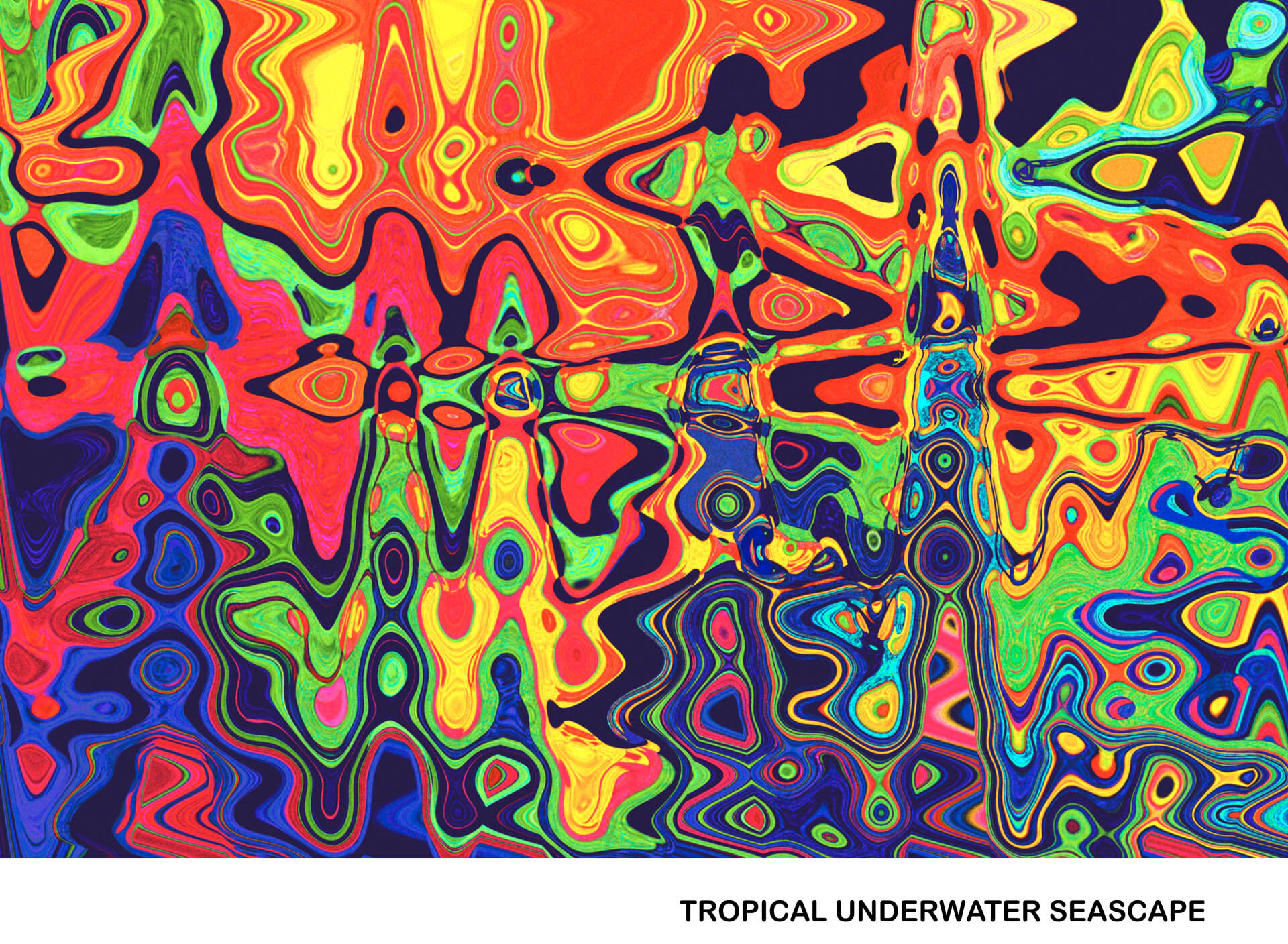 Tropical Underwater Seascape Titled.jpg