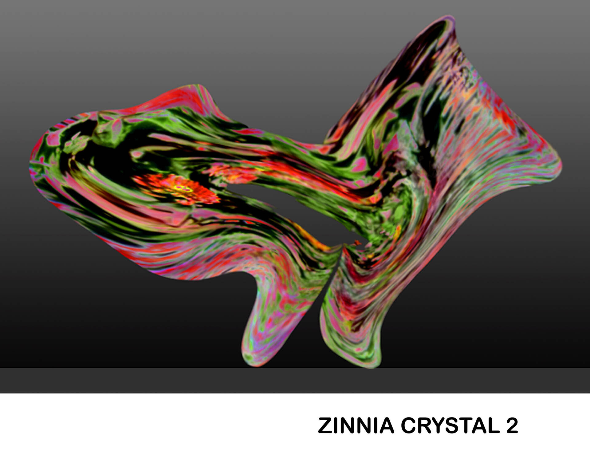 Zinnia Crystal 2 Titled.jpg