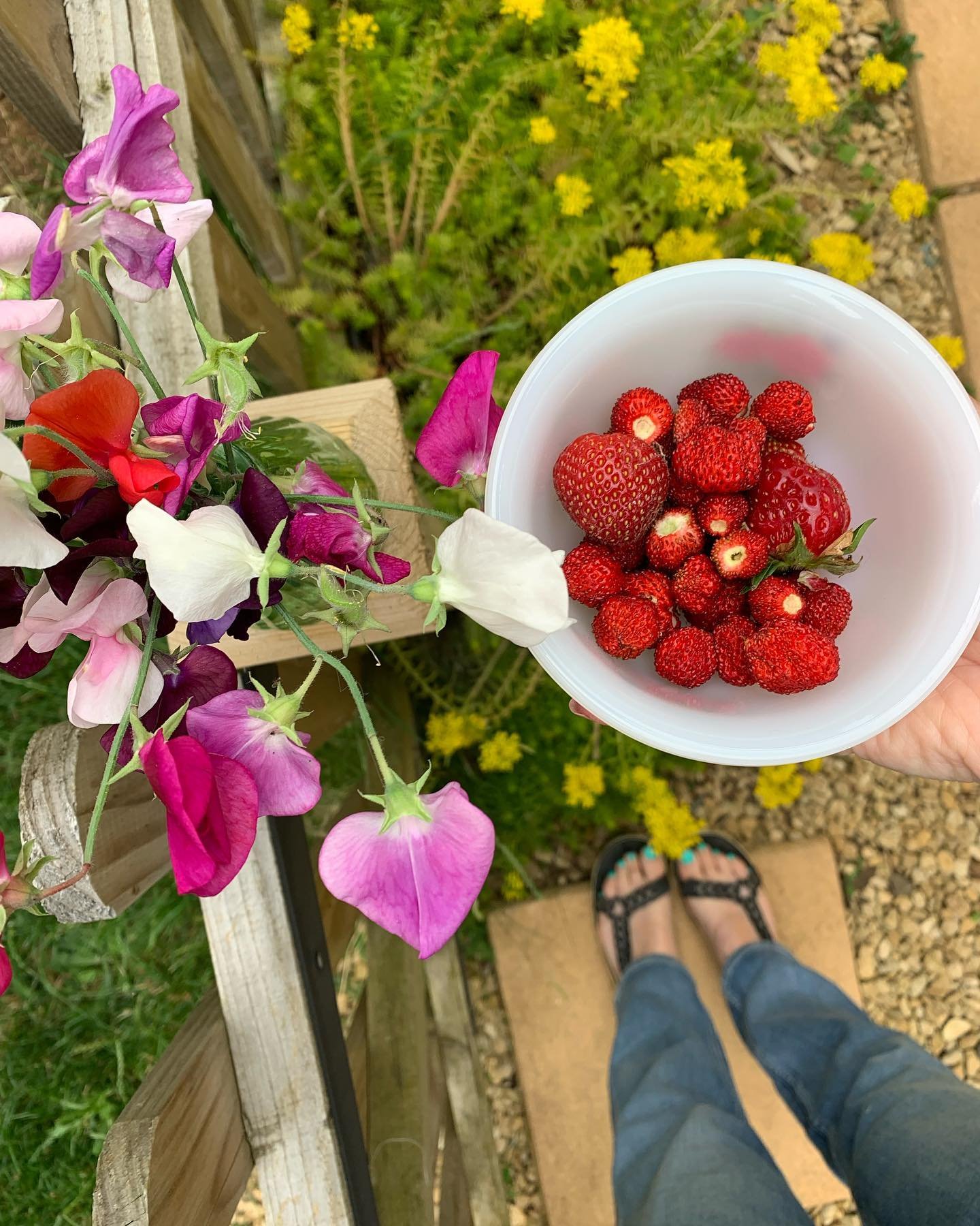 Sweet peas and Strawberries, it must be summer. How is yours going? I&rsquo;m just putting the finishing touches to my June newsletter Notes from the Nest. I&rsquo;m talking Ladies Bedstraw, my holiday crochet project and as always sharing a few thin